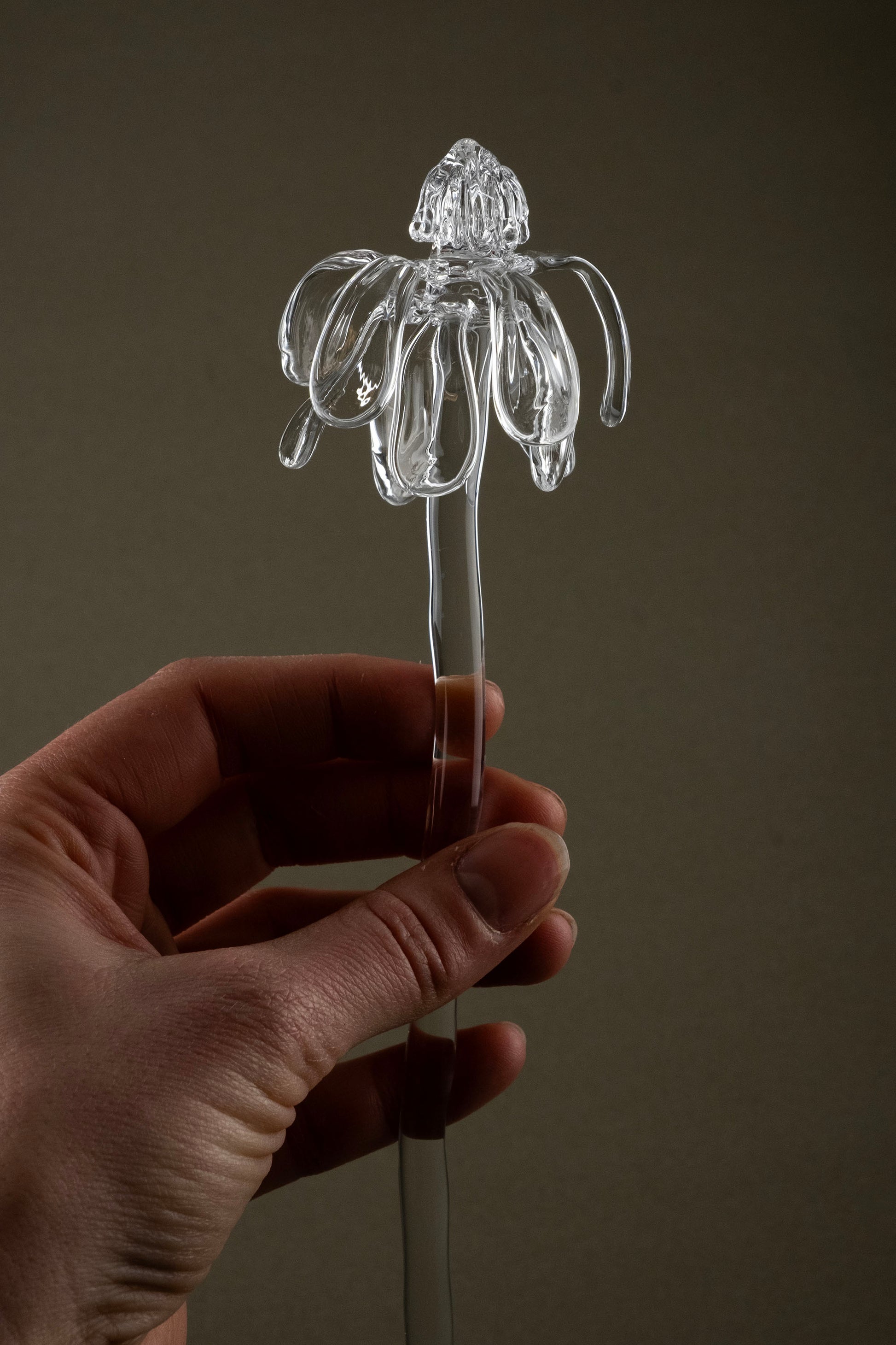 Close-up of Glasblume 01 highlighting the borosilicate glass petals in a transitional state between bloom and decay.