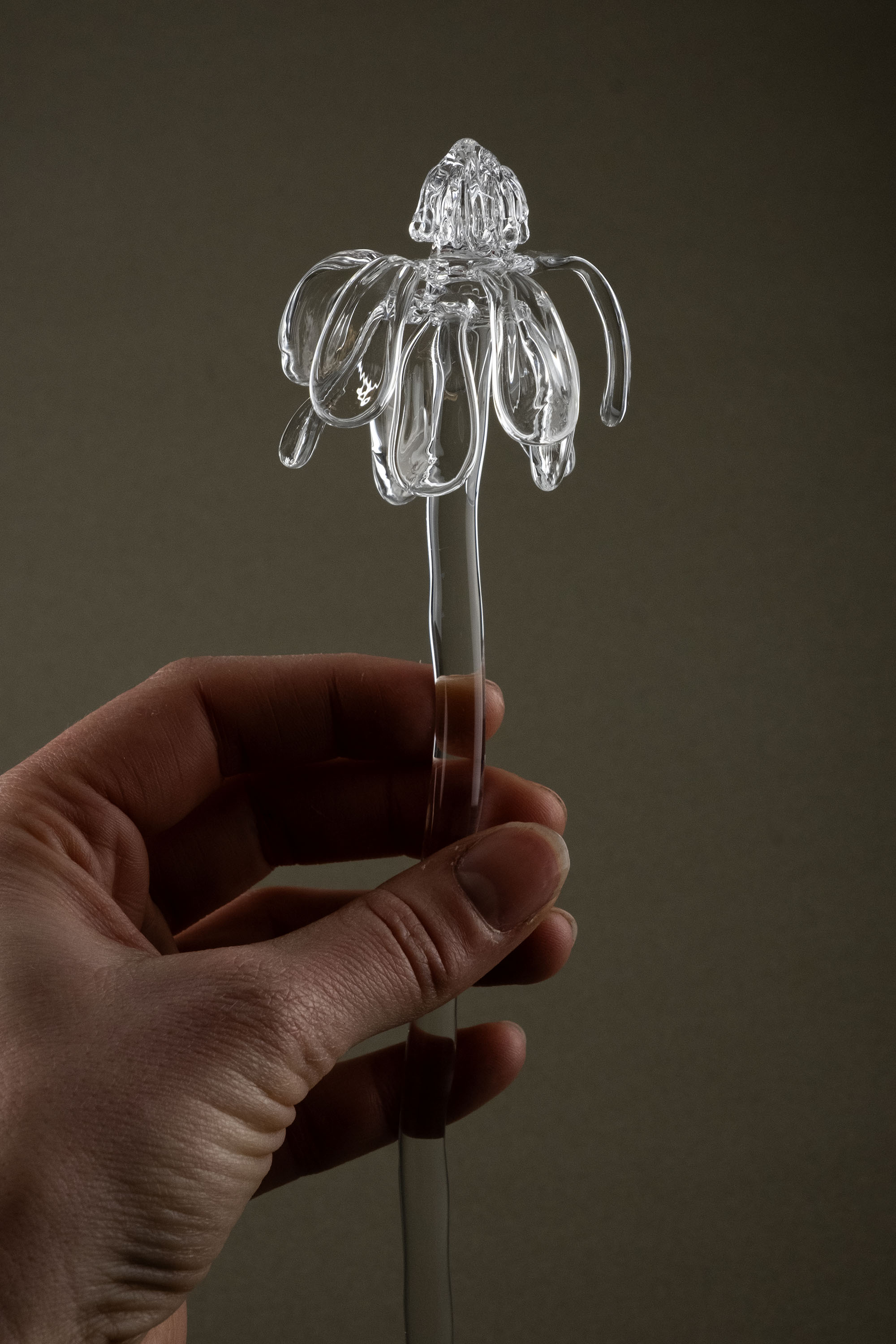 Close-up of Glasblume 01 highlighting the borosilicate glass petals in a transitional state between bloom and decay.