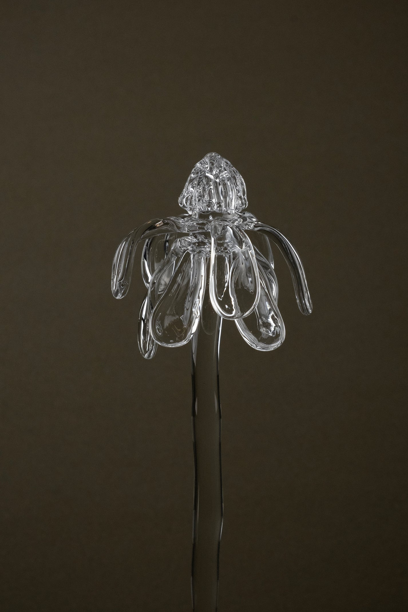Close-up of Glasblume 01 highlighting the borosilicate glass petals in a transitional state between bloom and decay.
