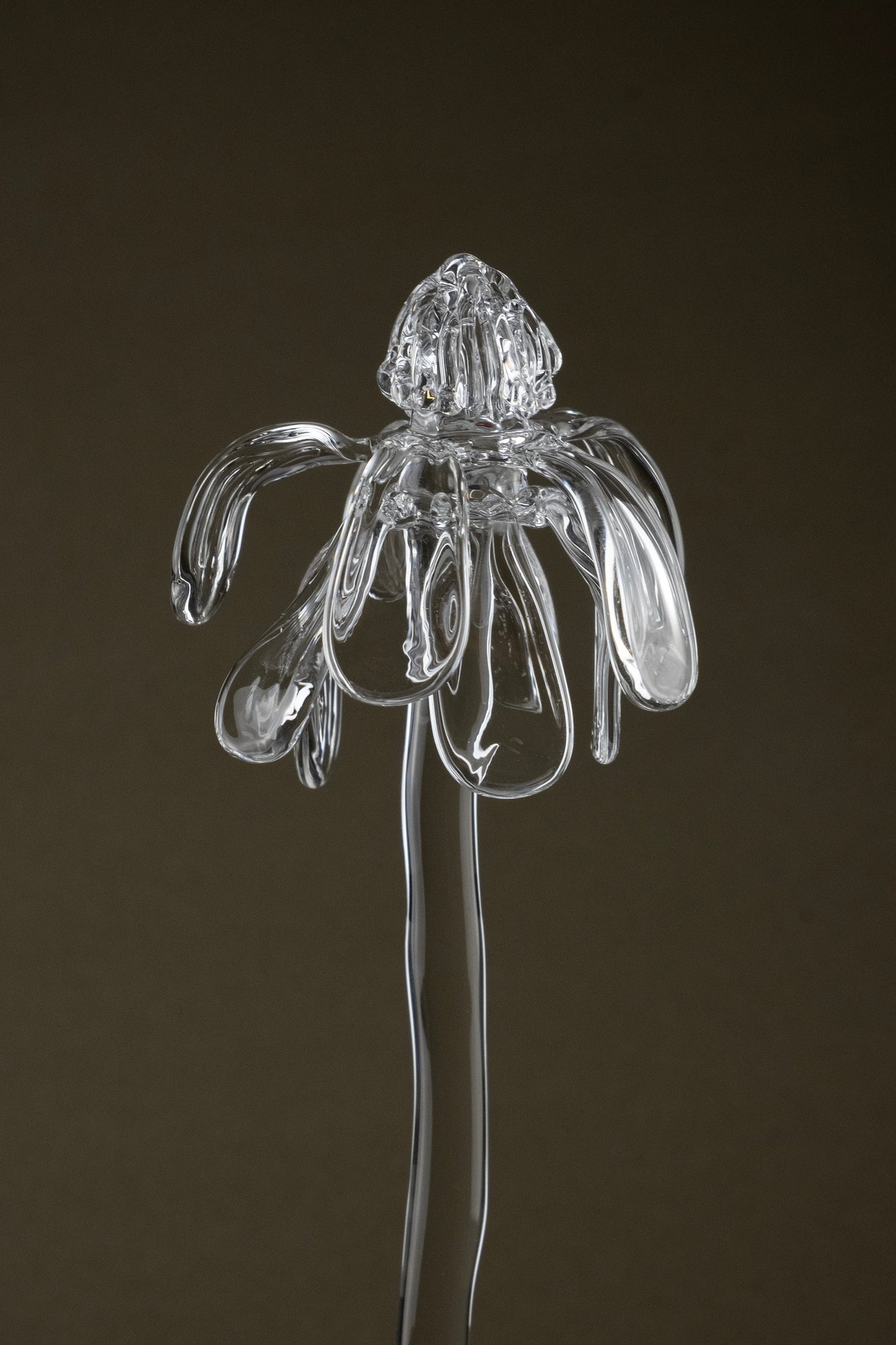 Close-up of Glasblume 01 highlighting the borosilicate glass petals in a transitional state between bloom and decay.