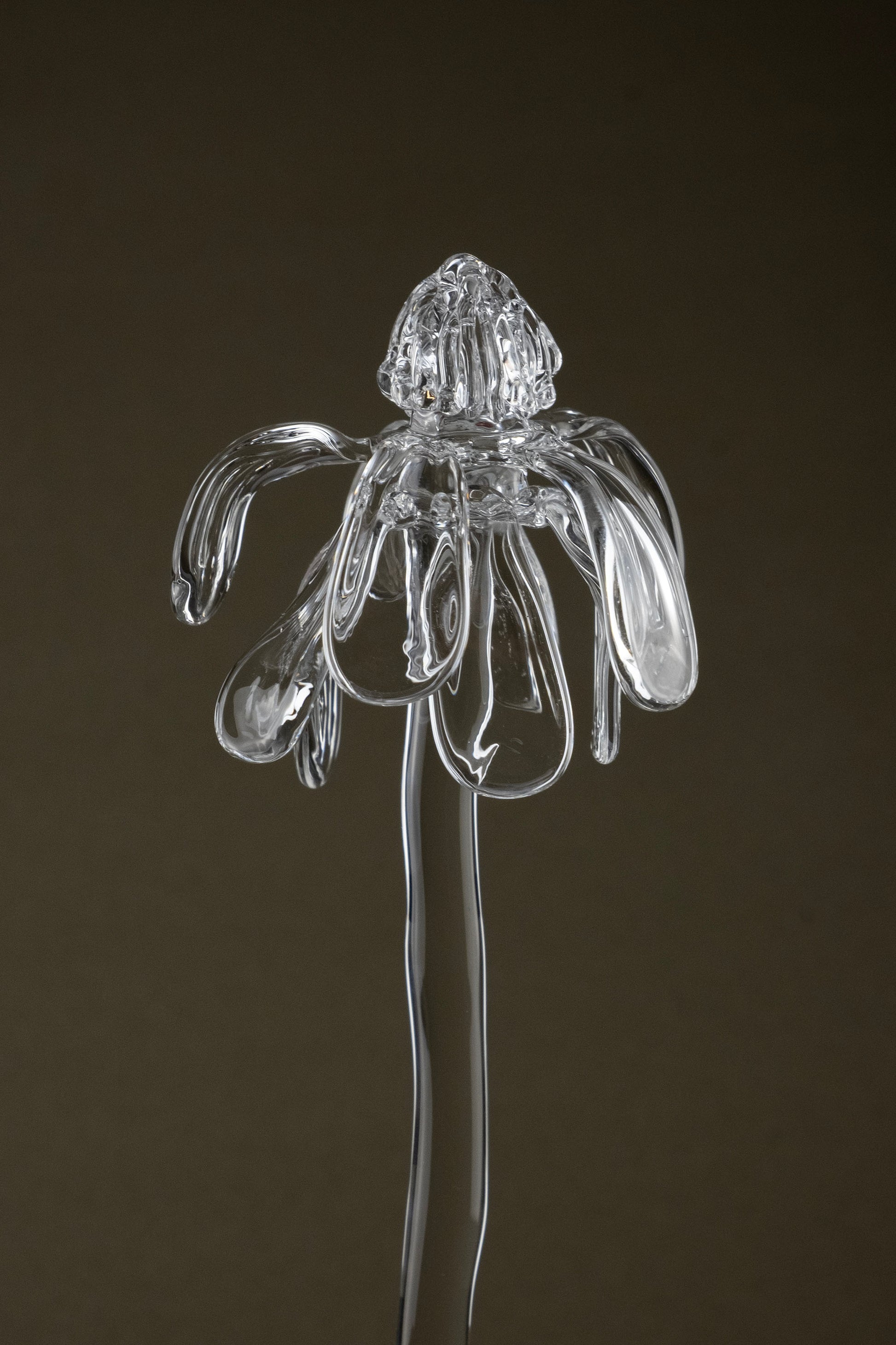 Close-up of Glasblume 01 highlighting the borosilicate glass petals in a transitional state between bloom and decay.