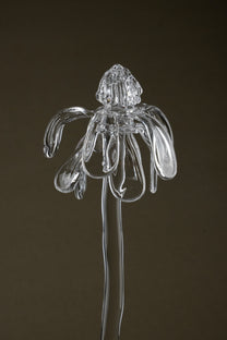 Close-up of Glasblume 01 highlighting the borosilicate glass petals in a transitional state between bloom and decay.