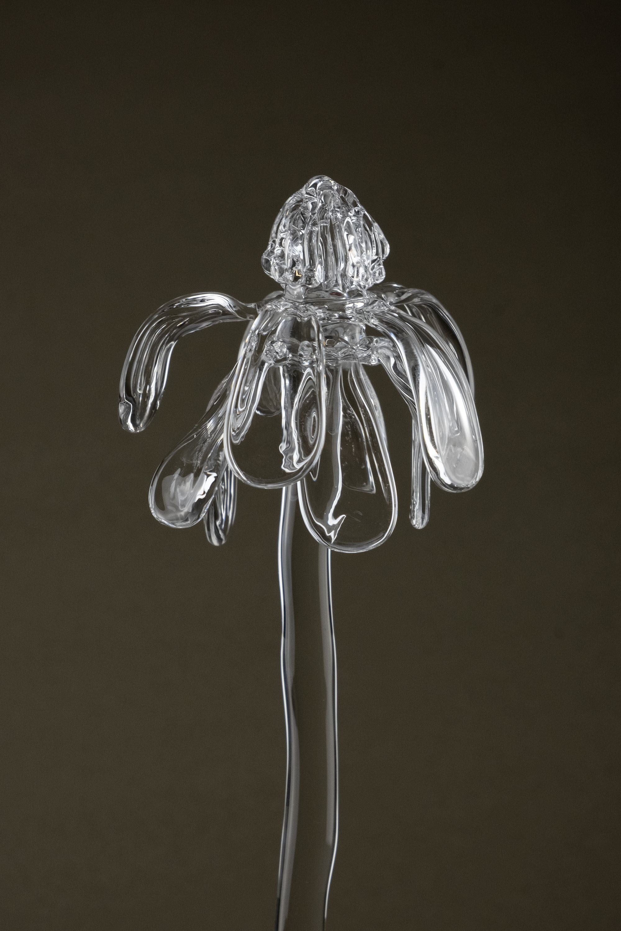 Close-up of Glasblume 01 highlighting the borosilicate glass petals in a transitional state between bloom and decay.