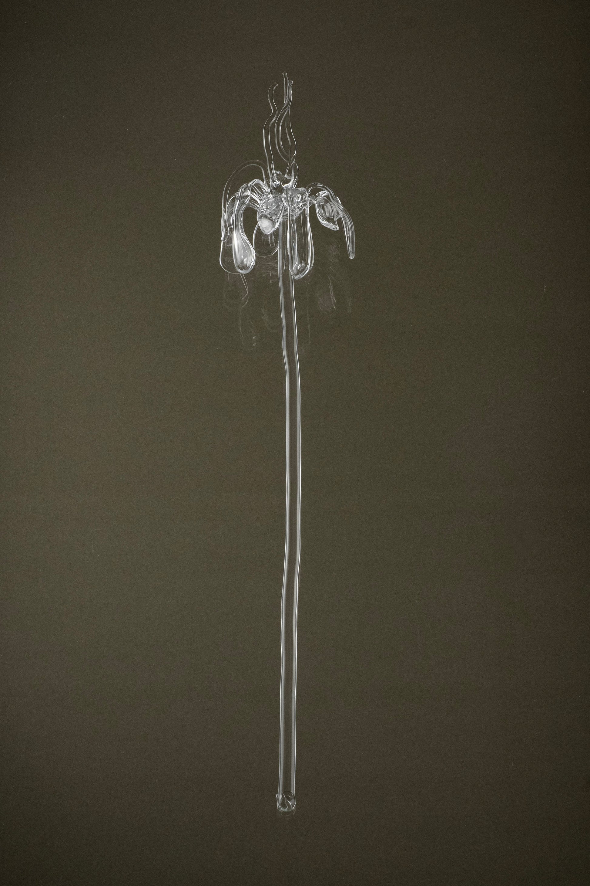 Full view of Glasblume 02, a hand-formed borosilicate glass flower with a defined typology and subtle variation in form.
