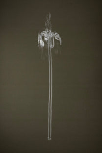 Full view of Glasblume 02, a hand-formed borosilicate glass flower with a defined typology and subtle variation in form.