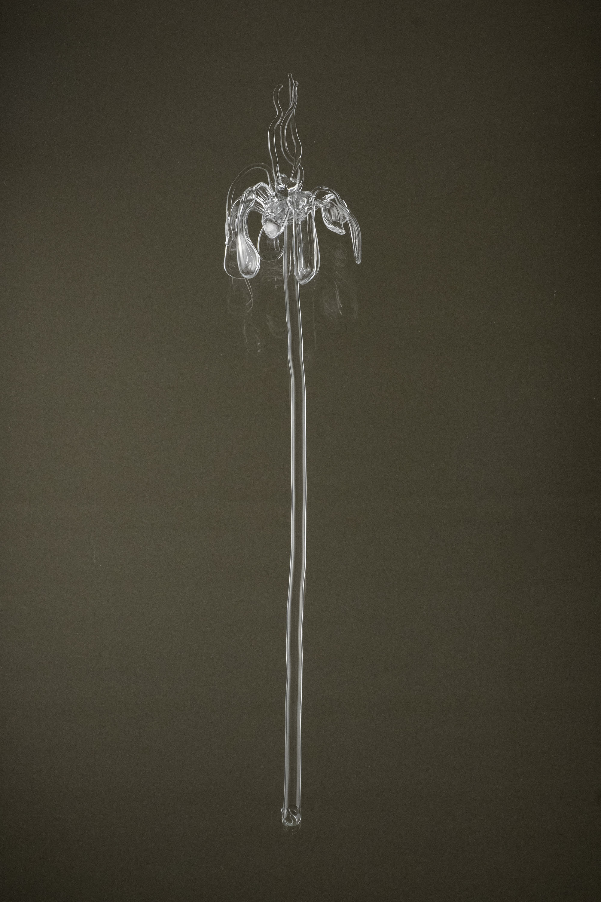 Full view of Glasblume 02, a hand-formed borosilicate glass flower with a defined typology and subtle variation in form.