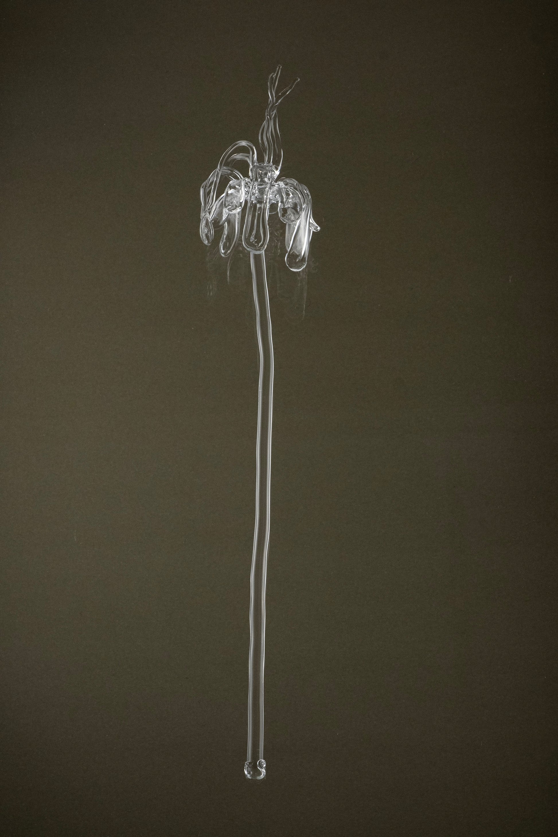 Full view of Glasblume 02, a hand-formed borosilicate glass flower with a defined typology and subtle variation in form.