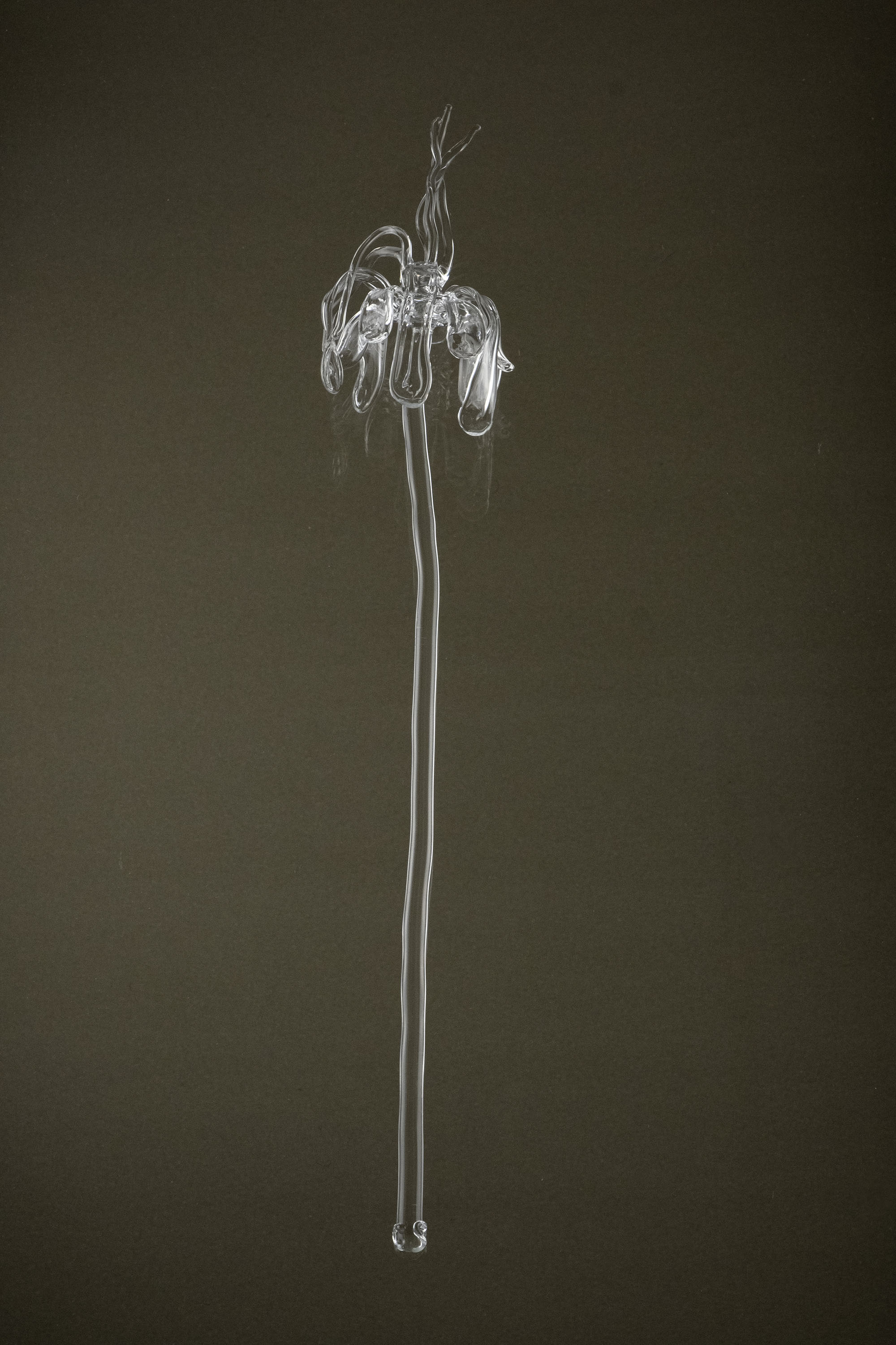 Full view of Glasblume 02, a hand-formed borosilicate glass flower with a defined typology and subtle variation in form.