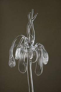 Close-up of transparent Orb Necklace showing solid glass spheres connected seamlessly with glass links, handmade borosilicate piece.