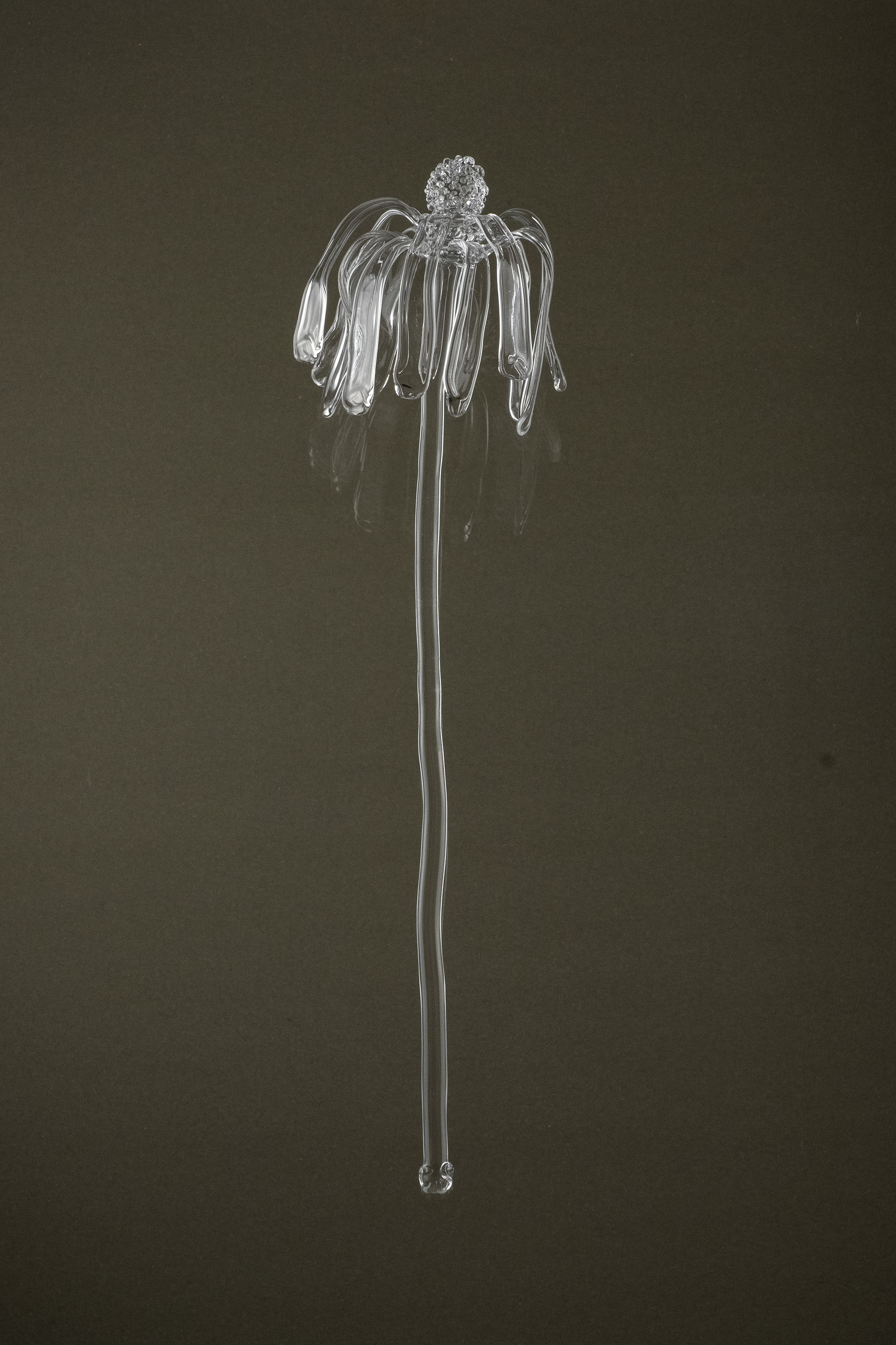 Glasblume 03 shown in full view, a made-to-order borosilicate glass flower crafted by hand with a slender stem.