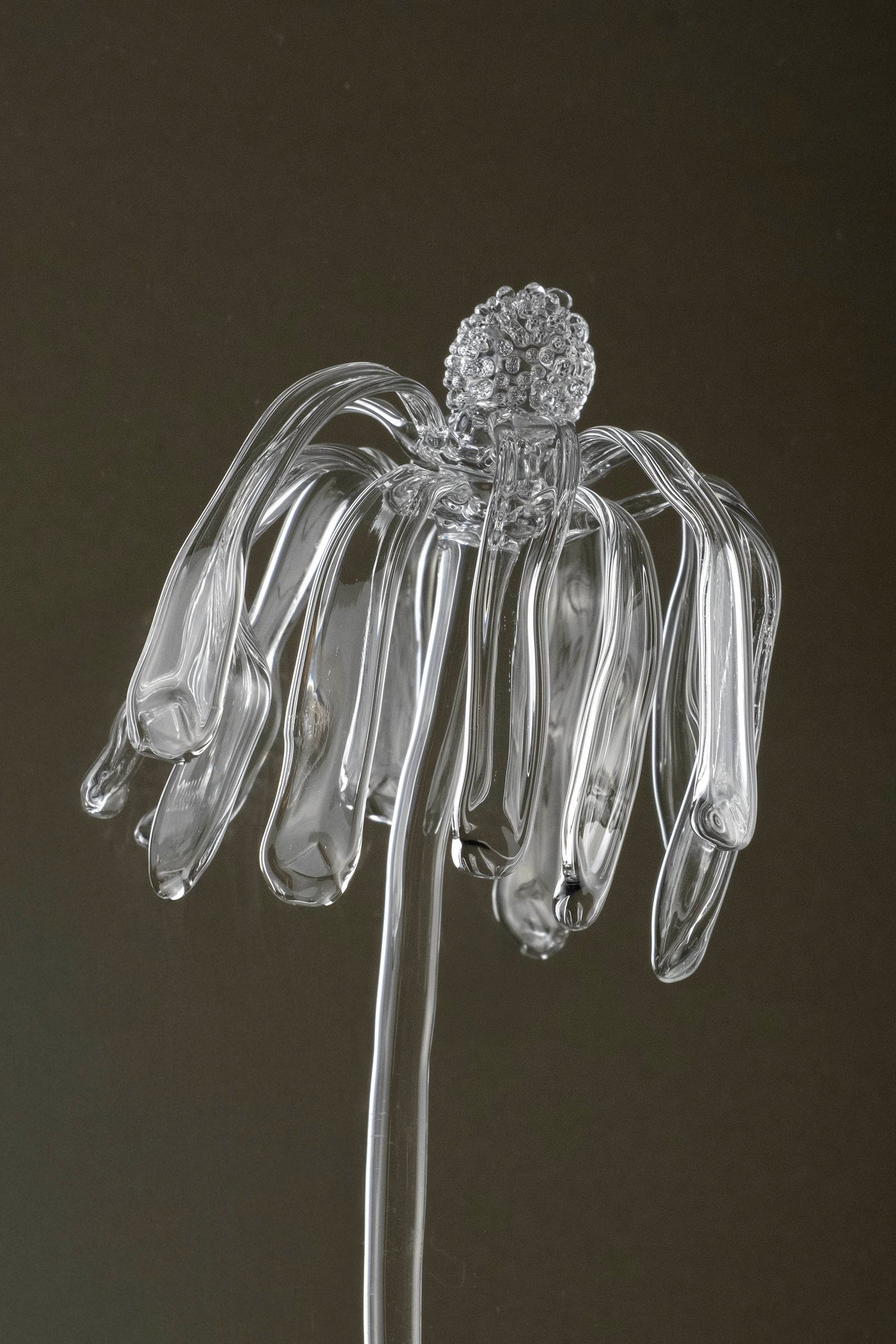 Close-up of Glasblume 03 capturing surface detail and the transition from bloom toward decay in the glass petals.