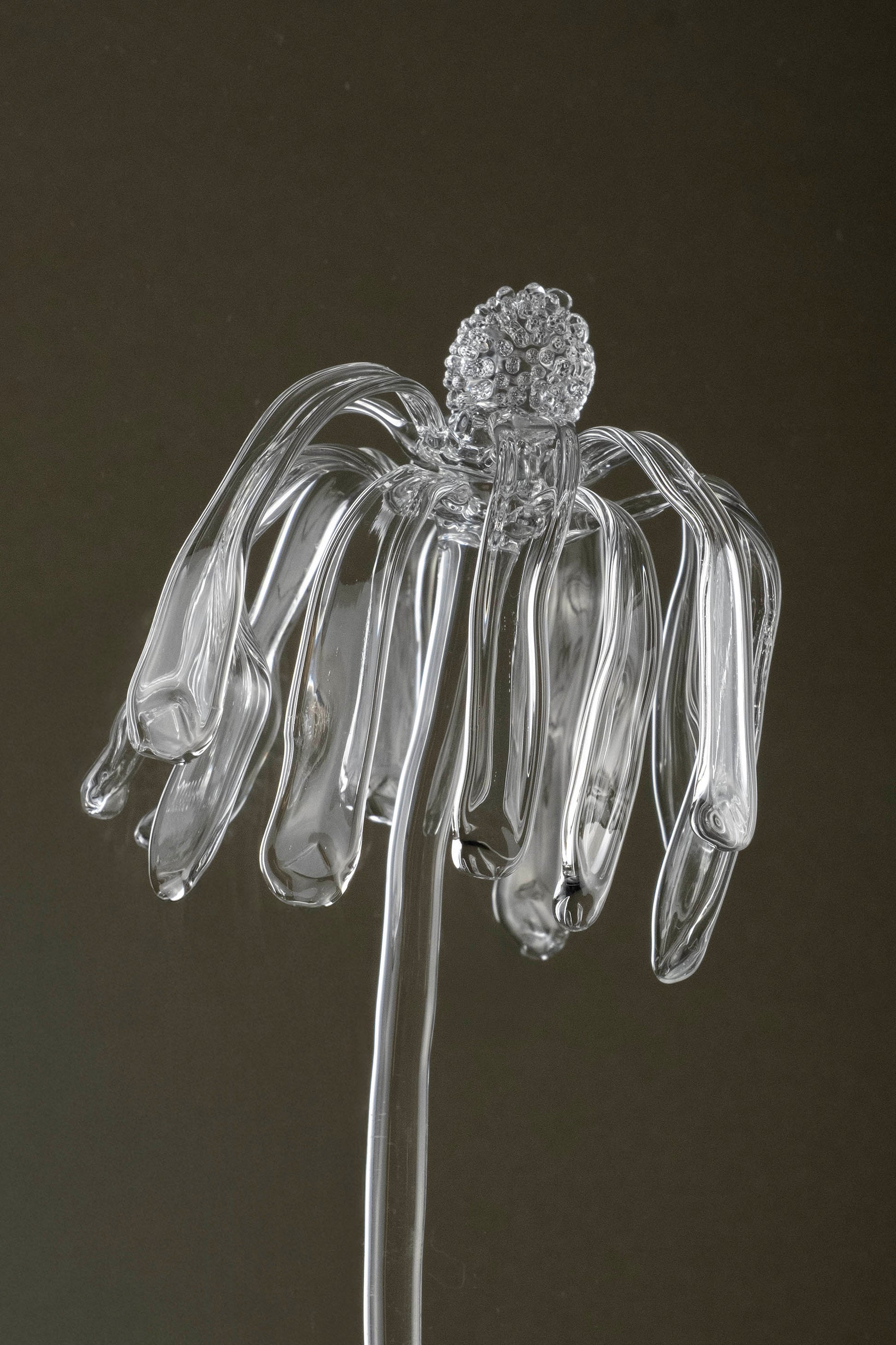 Close-up of Glasblume 03 capturing surface detail and the transition from bloom toward decay in the glass petals.