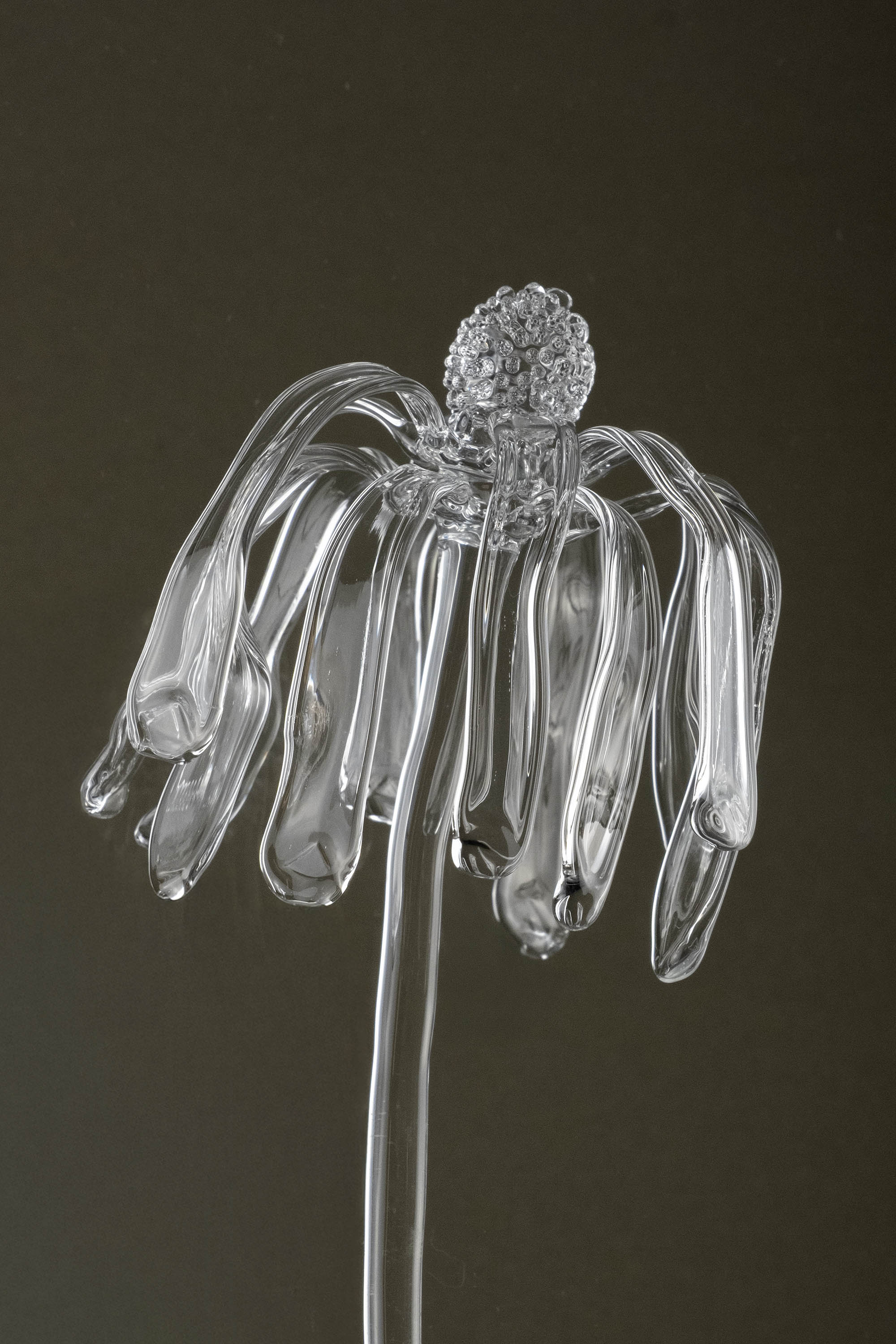 Close-up of Glasblume 03 capturing surface detail and the transition from bloom toward decay in the glass petals.