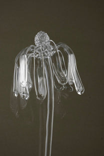 Close-up of Glasblume 03 capturing surface detail and the transition from bloom toward decay in the glass petals.