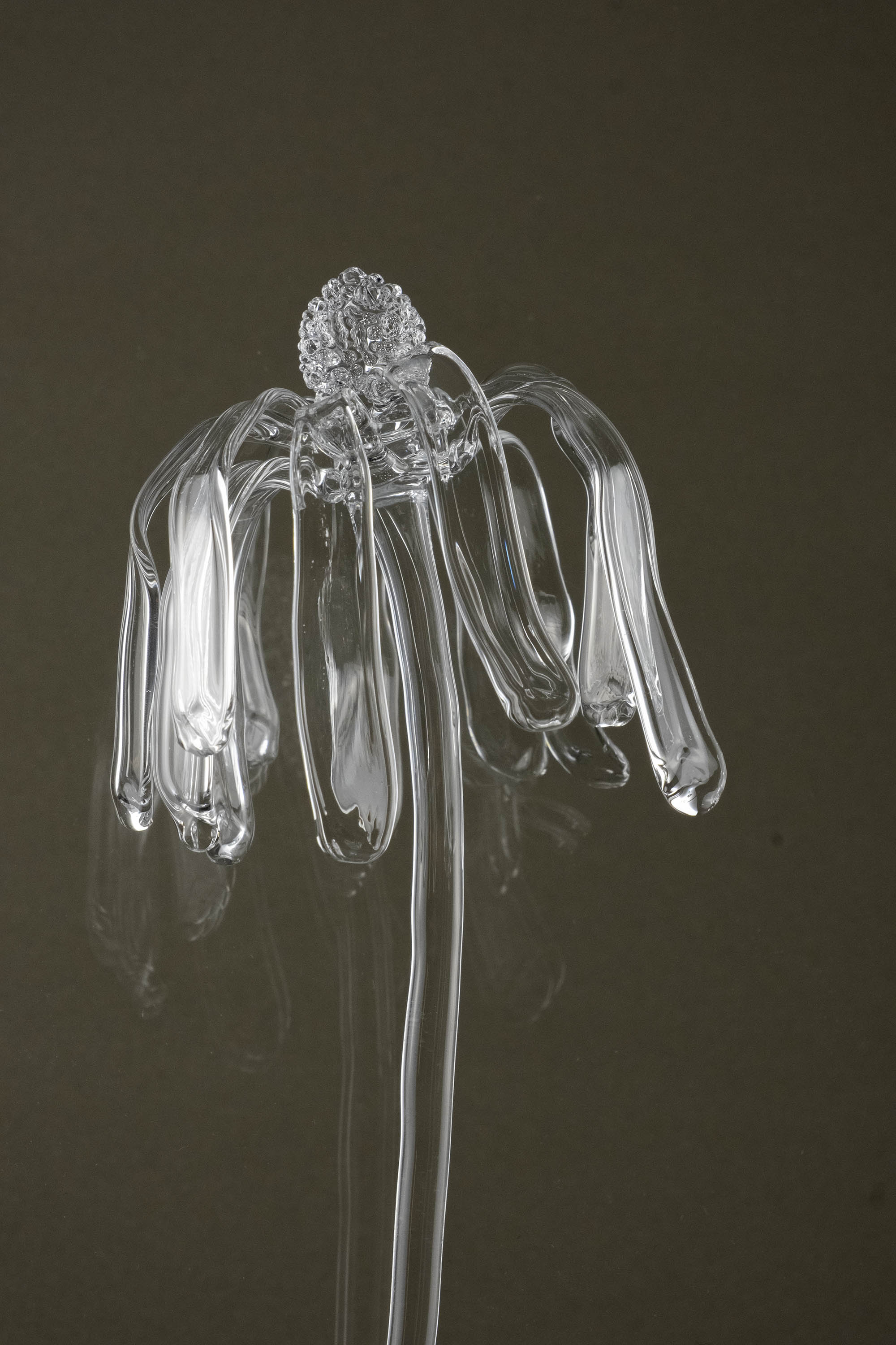 Close-up of Glasblume 03 capturing surface detail and the transition from bloom toward decay in the glass petals.