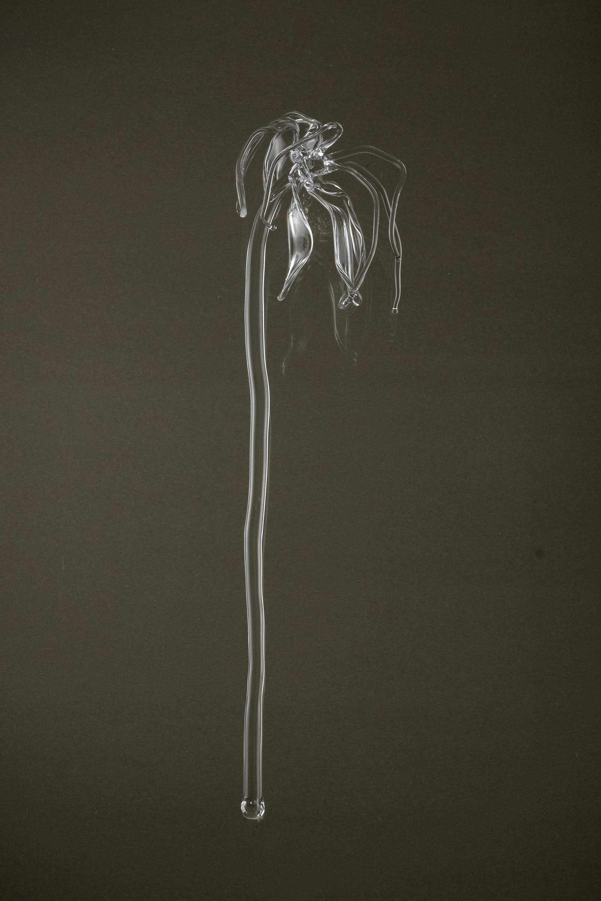 Handcrafted glass flower Glasblume 04 in full view, made from borosilicate glass and shaped as a sculptural object.