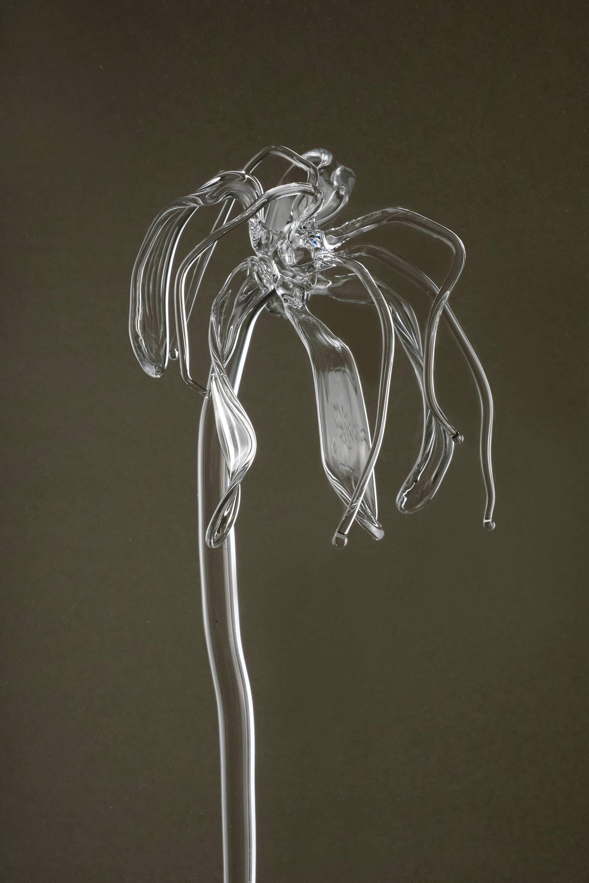 Detail image of Glasblume 04 showing the deformed petal edges and material clarity of the borosilicate glass.