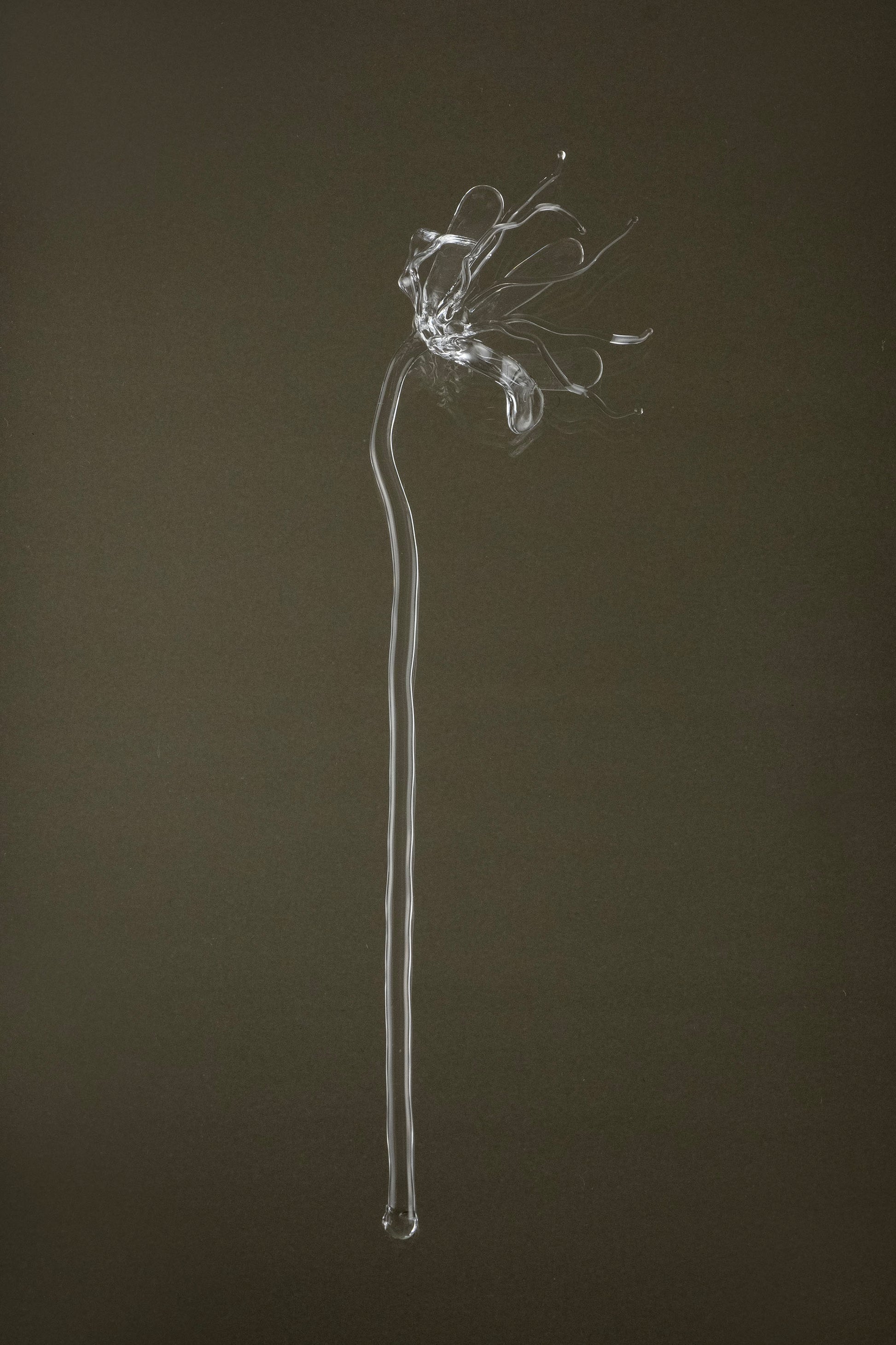 Full view of Glasblume 05, a handcrafted borosilicate glass flower produced as part of a continuous series.