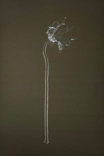 Full view of Glasblume 05, a handcrafted borosilicate glass flower produced as part of a continuous series.