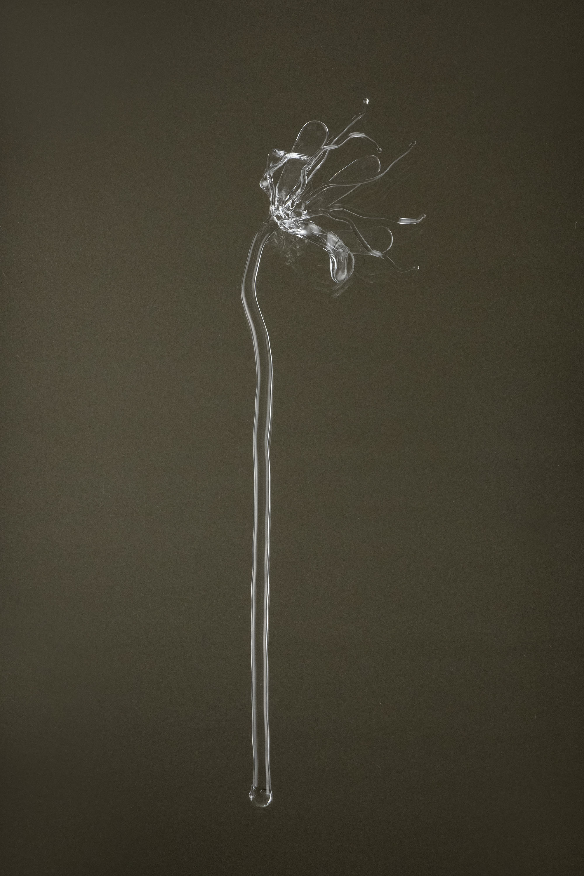 Full view of Glasblume 05, a handcrafted borosilicate glass flower produced as part of a continuous series.