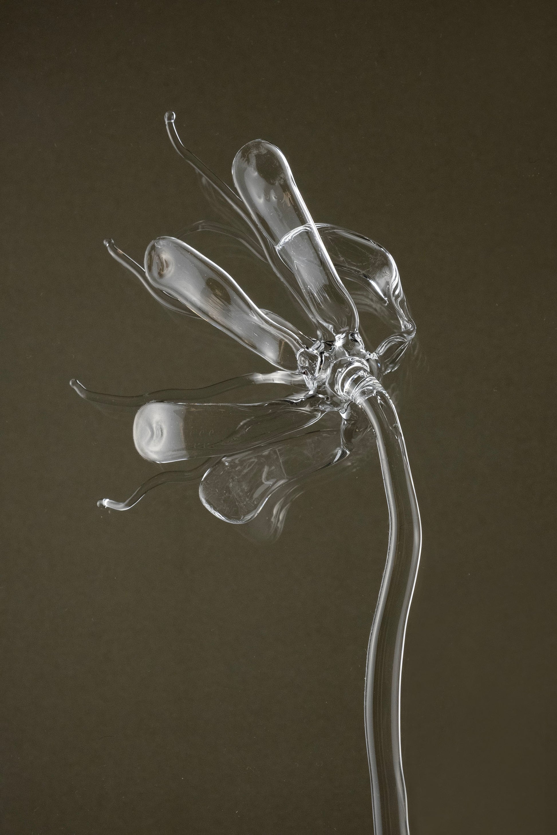 Close-up of Glasblume 05 emphasizing the glass petals and the in-between state of bloom and decay.