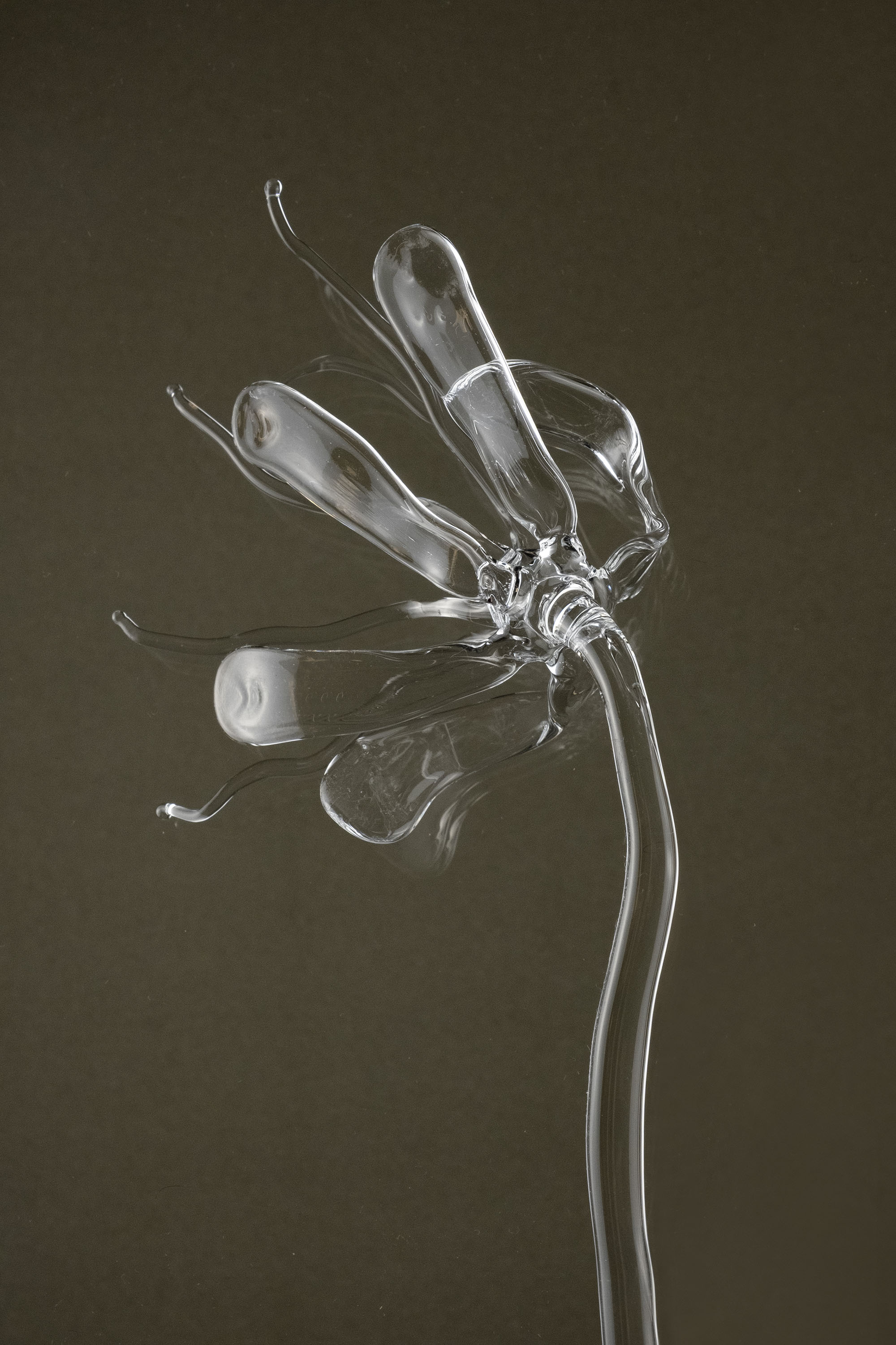 Close-up of Glasblume 05 emphasizing the glass petals and the in-between state of bloom and decay.