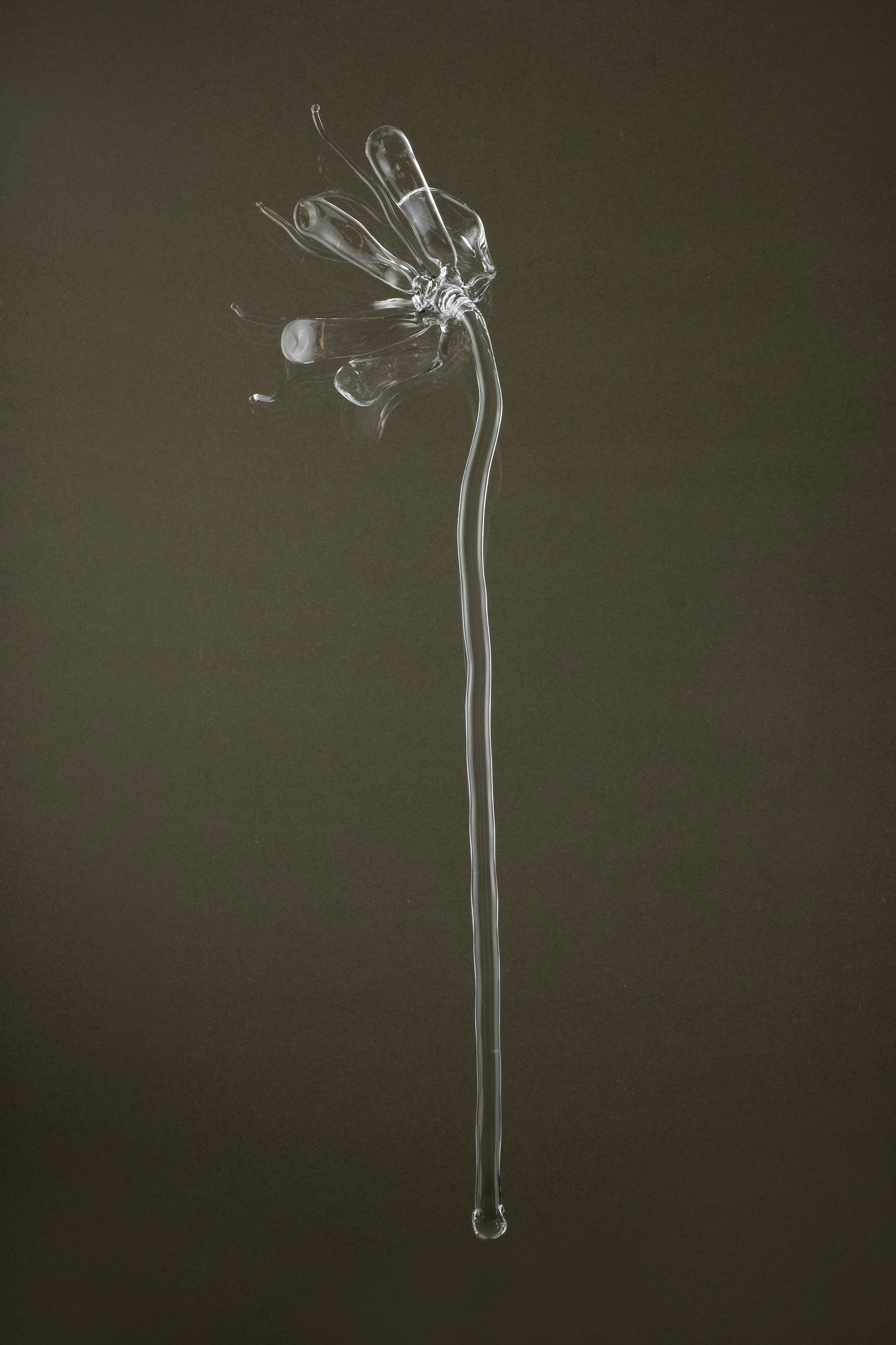 Full view of Glasblume 05, a handcrafted borosilicate glass flower produced as part of a continuous series.