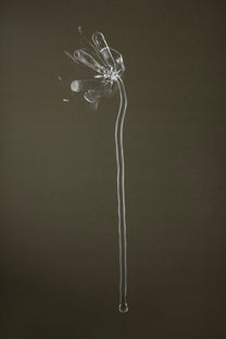 Full view of Glasblume 05, a handcrafted borosilicate glass flower produced as part of a continuous series.