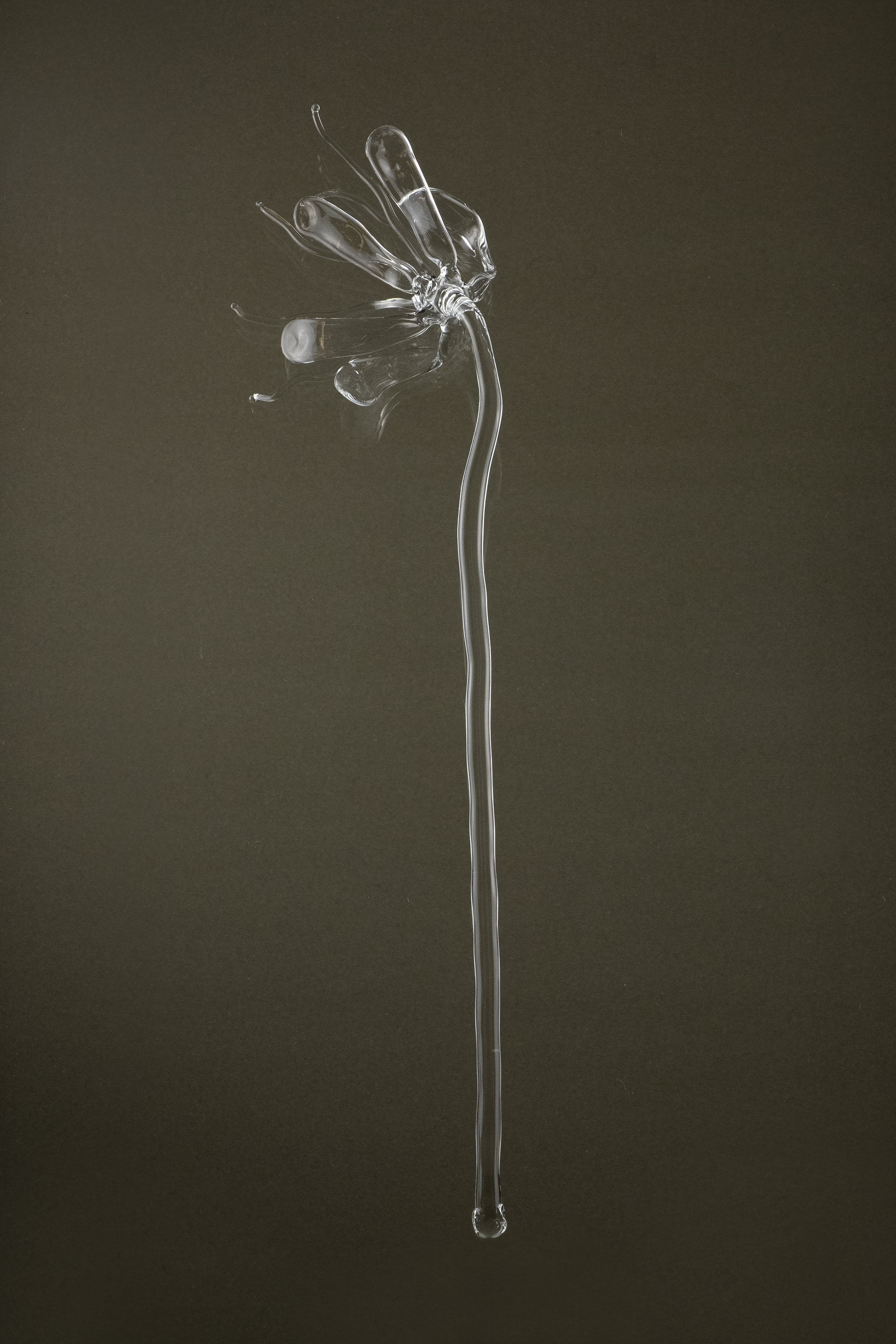 Full view of Glasblume 05, a handcrafted borosilicate glass flower produced as part of a continuous series.