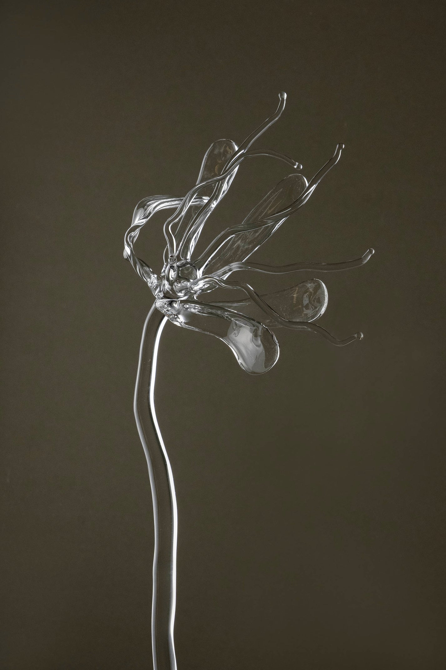 Close-up of Glasblume 05 emphasizing the glass petals and the in-between state of bloom and decay.