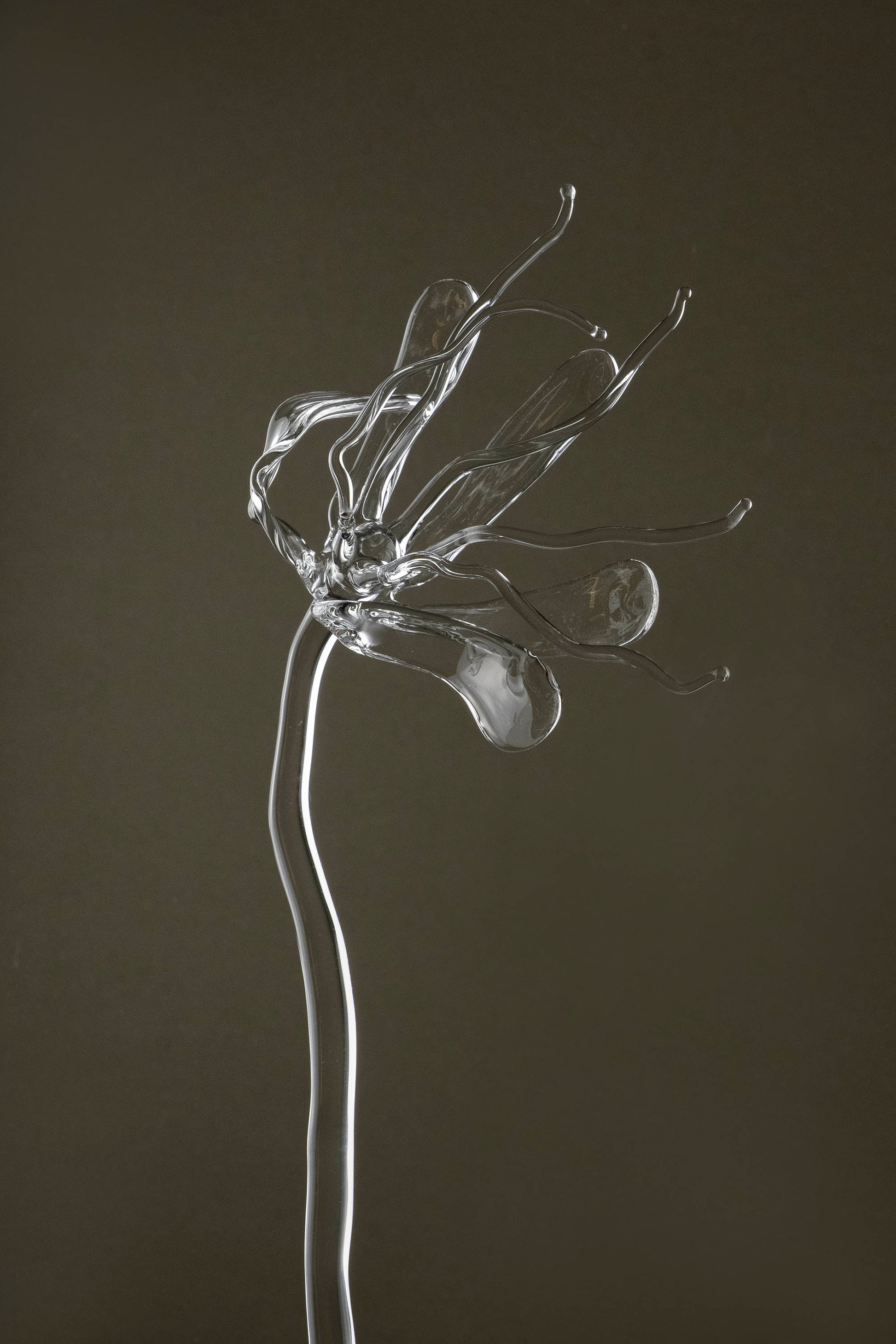 Close-up of Glasblume 05 emphasizing the glass petals and the in-between state of bloom and decay.