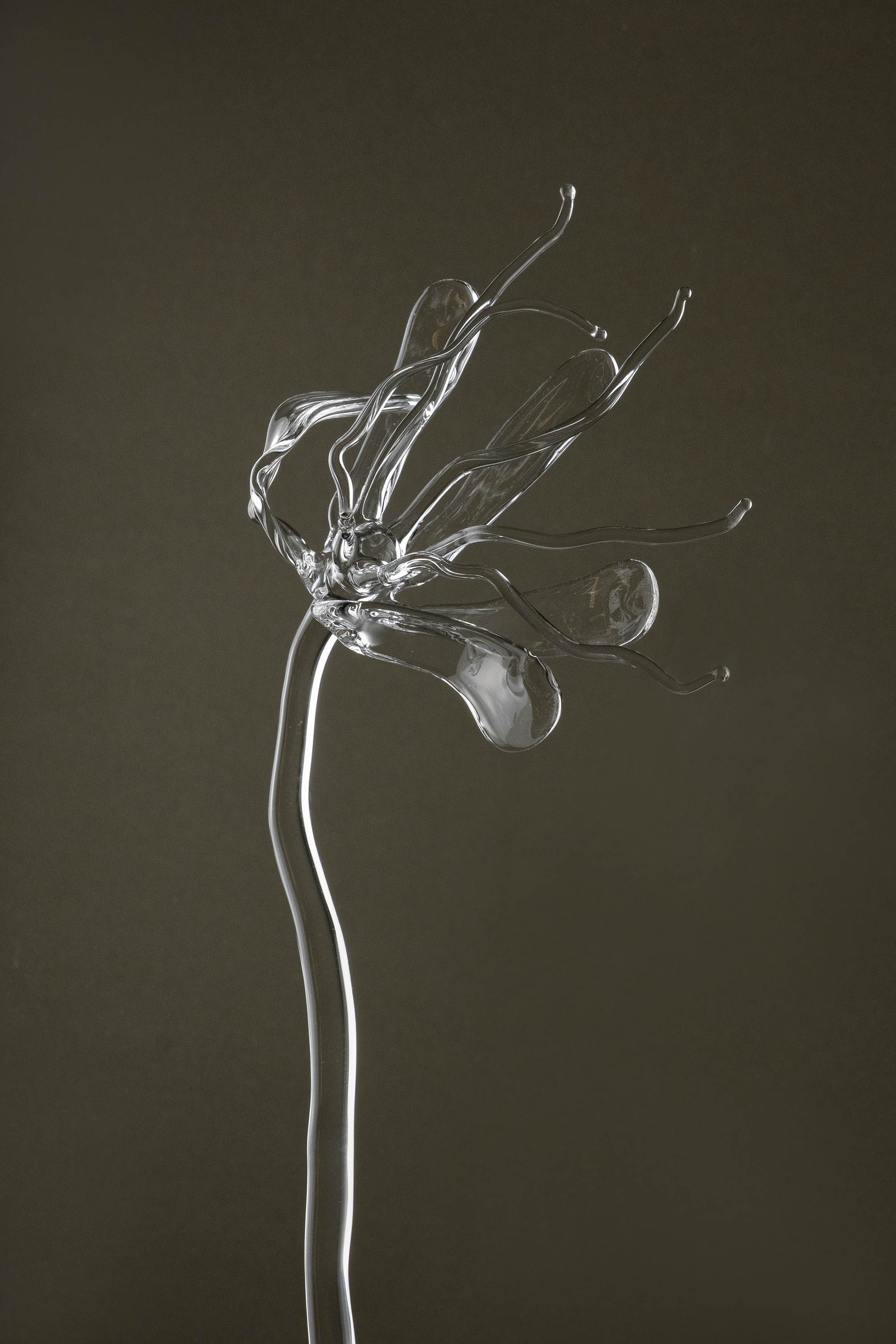 Close-up of Glasblume 05 emphasizing the glass petals and the in-between state of bloom and decay.