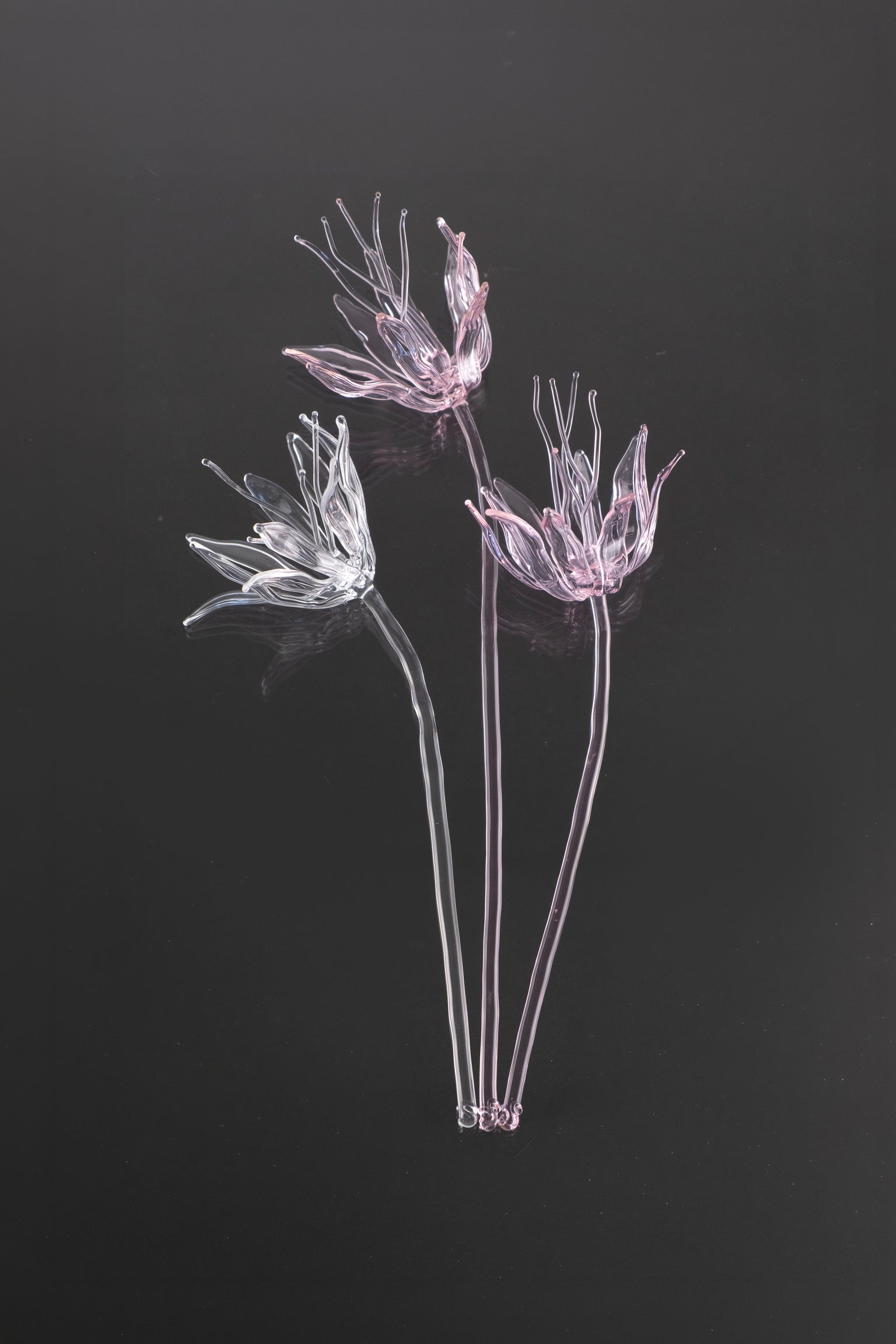 Glass Flower 02