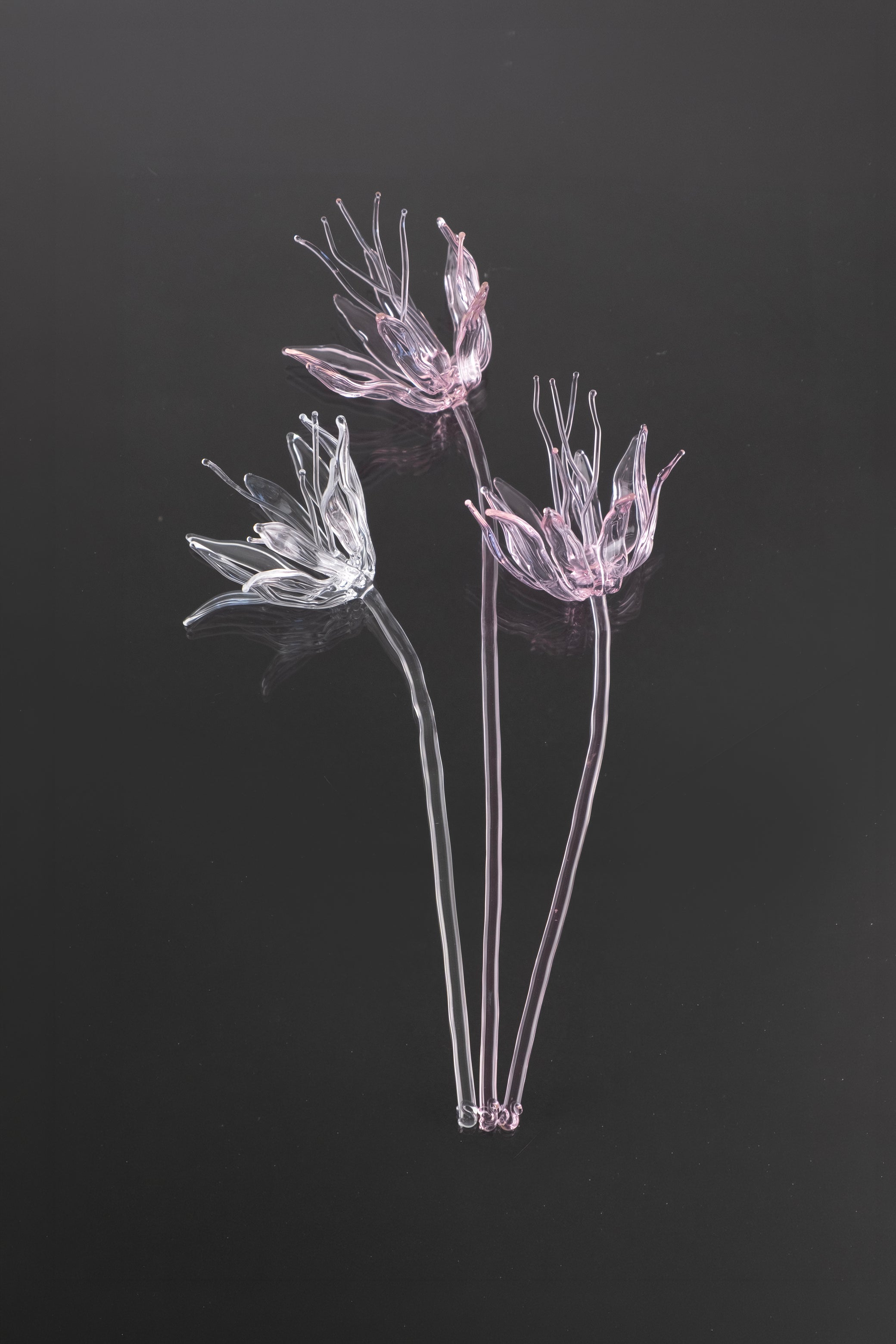 Glass Flower 02