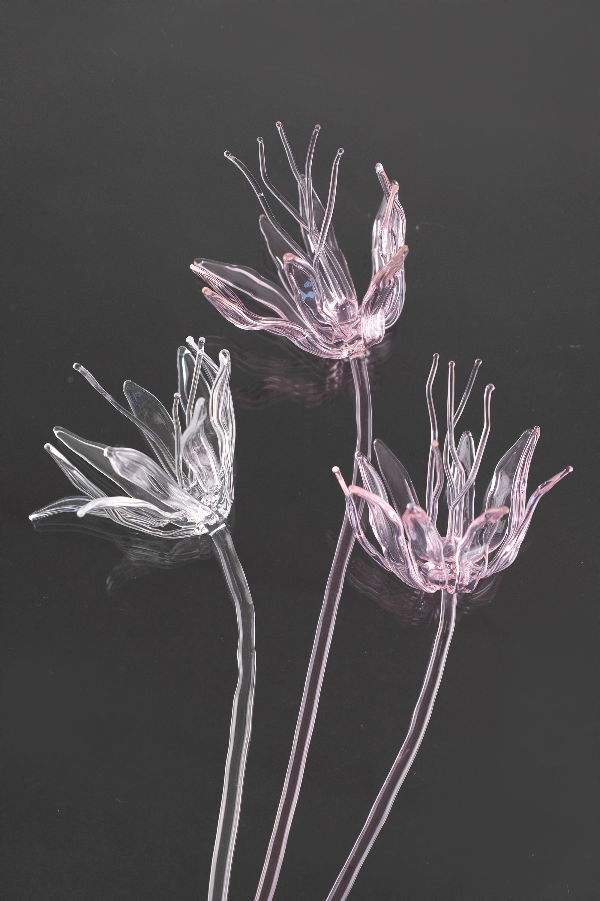 Glass Flower 02