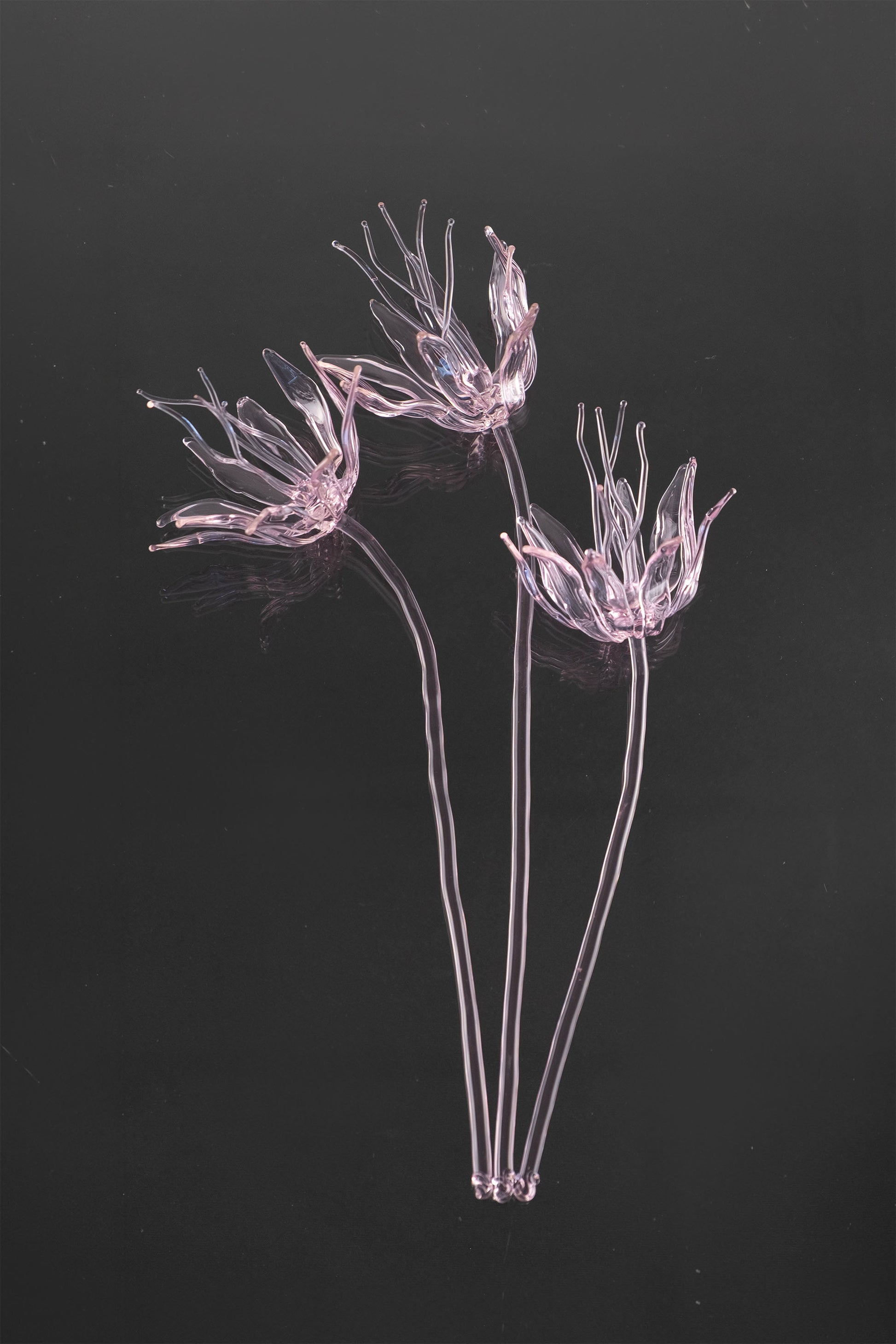 Glass Flower 02
