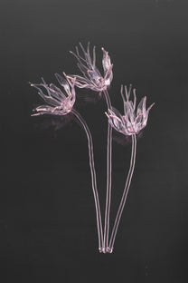 Glass Flower 02