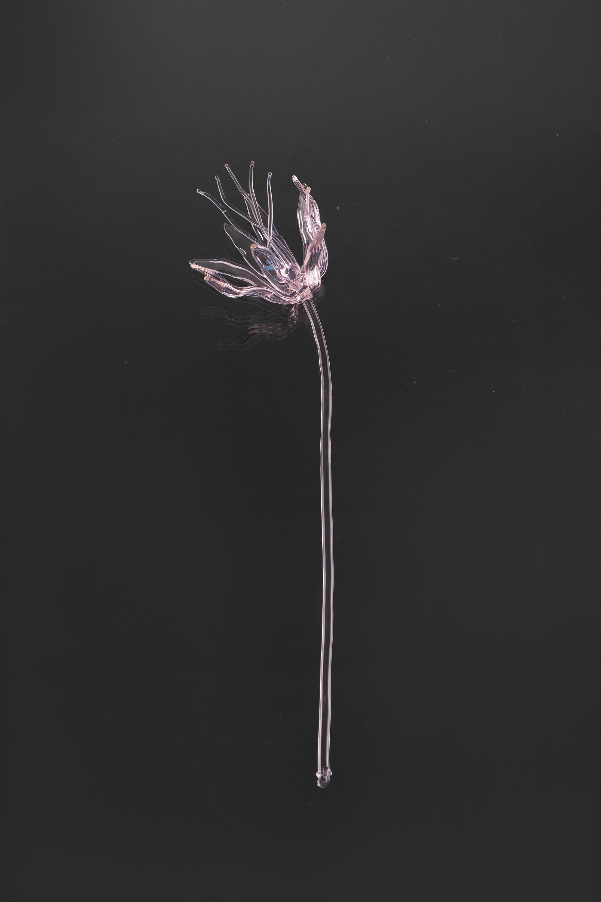 Glass Flower 02