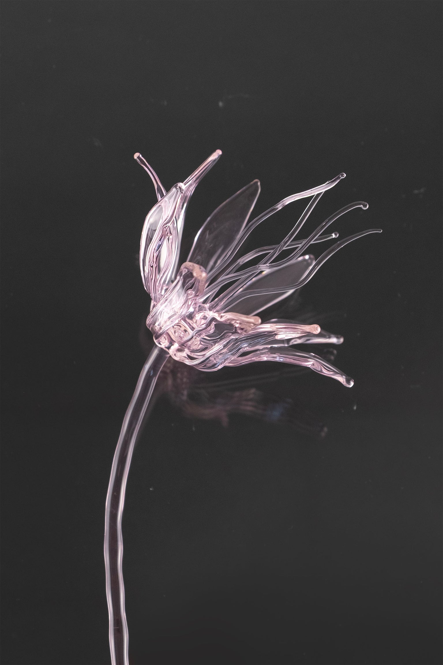 Glass Flower 02