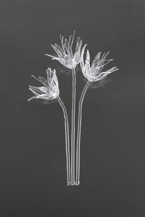 Glass Flower 02