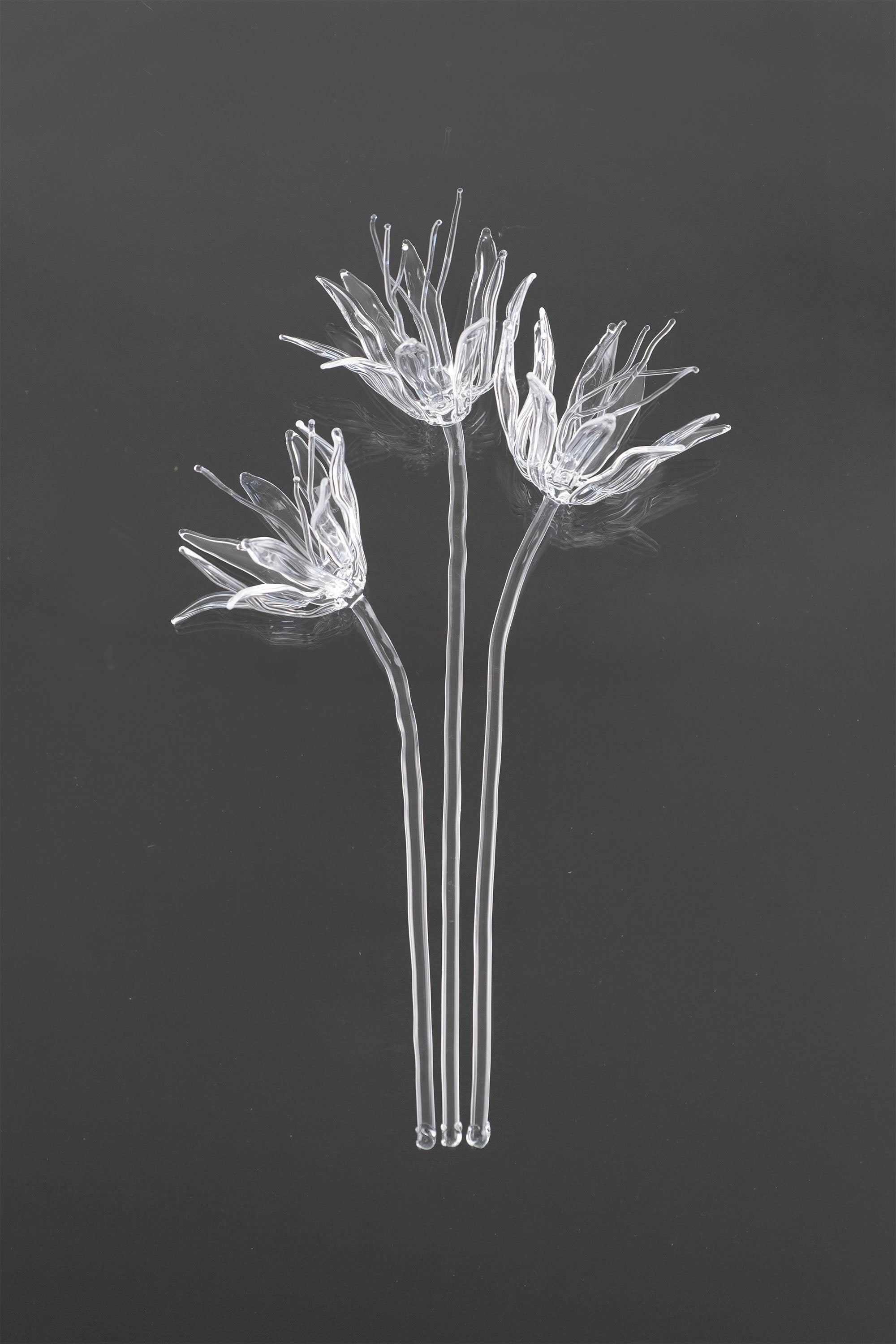 Glass Flower 02