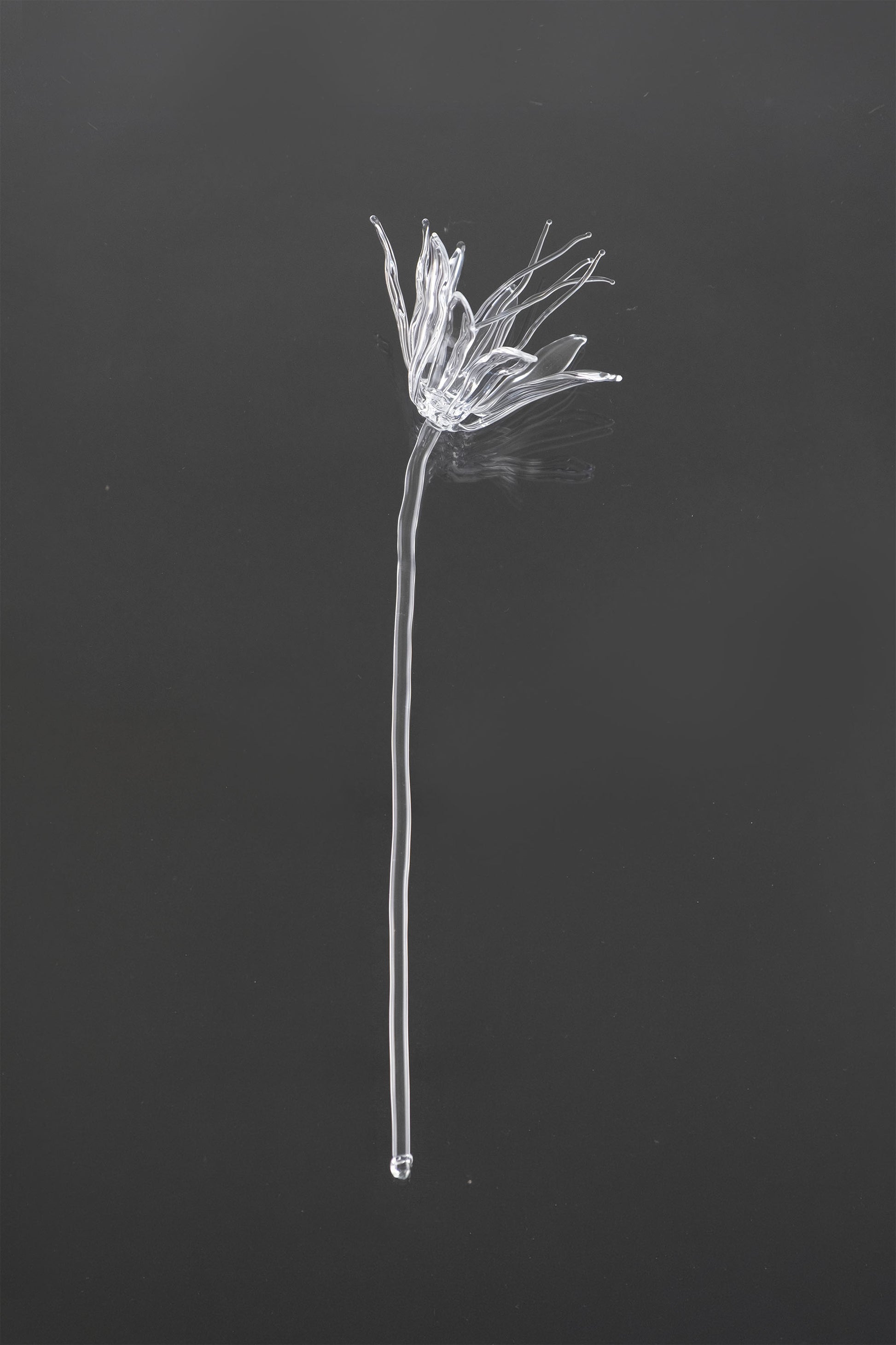 Glass Flower 02
