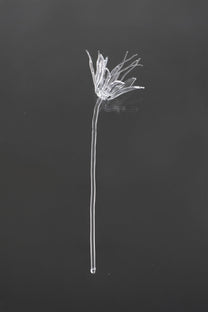 Glass Flower 02