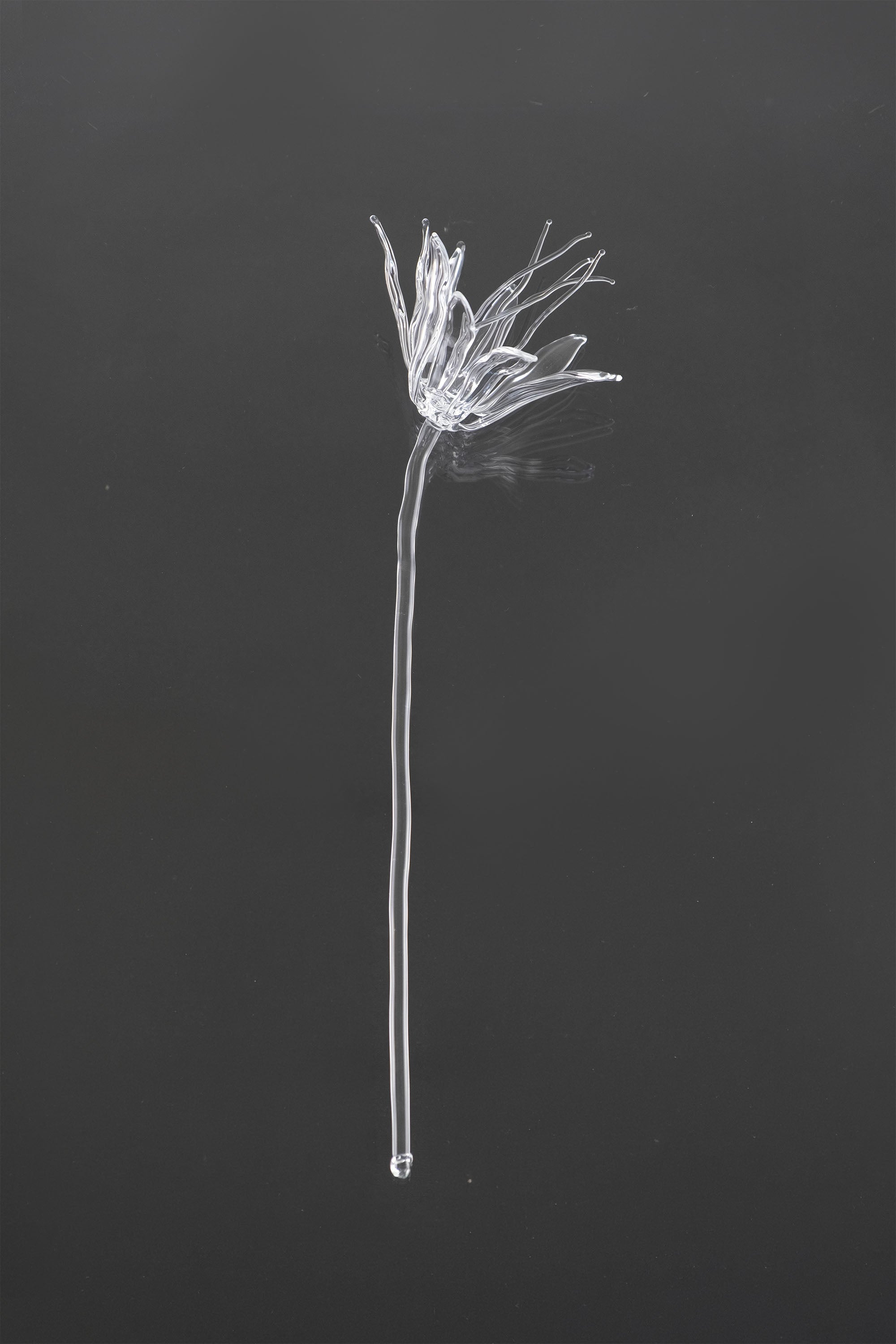 Glass Flower 02