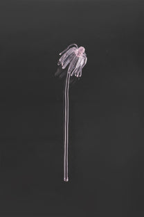 Glass Flower 03