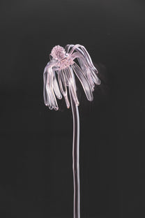 Glass Flower 03