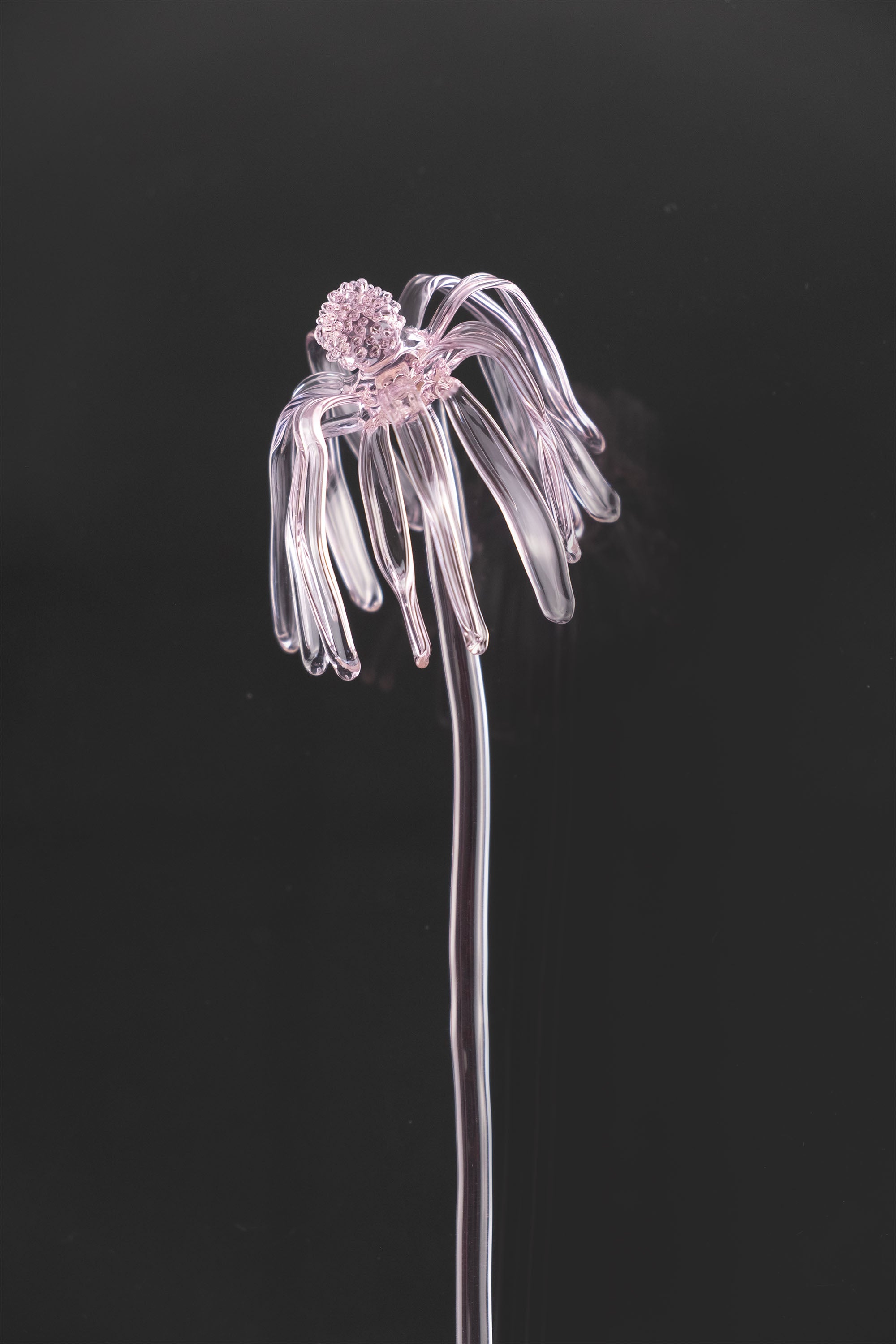 Glass Flower 03