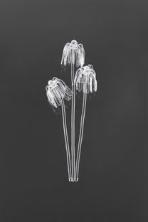 Glass Flower 03