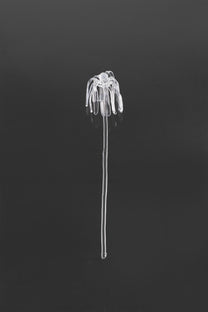 Glass Flower 03