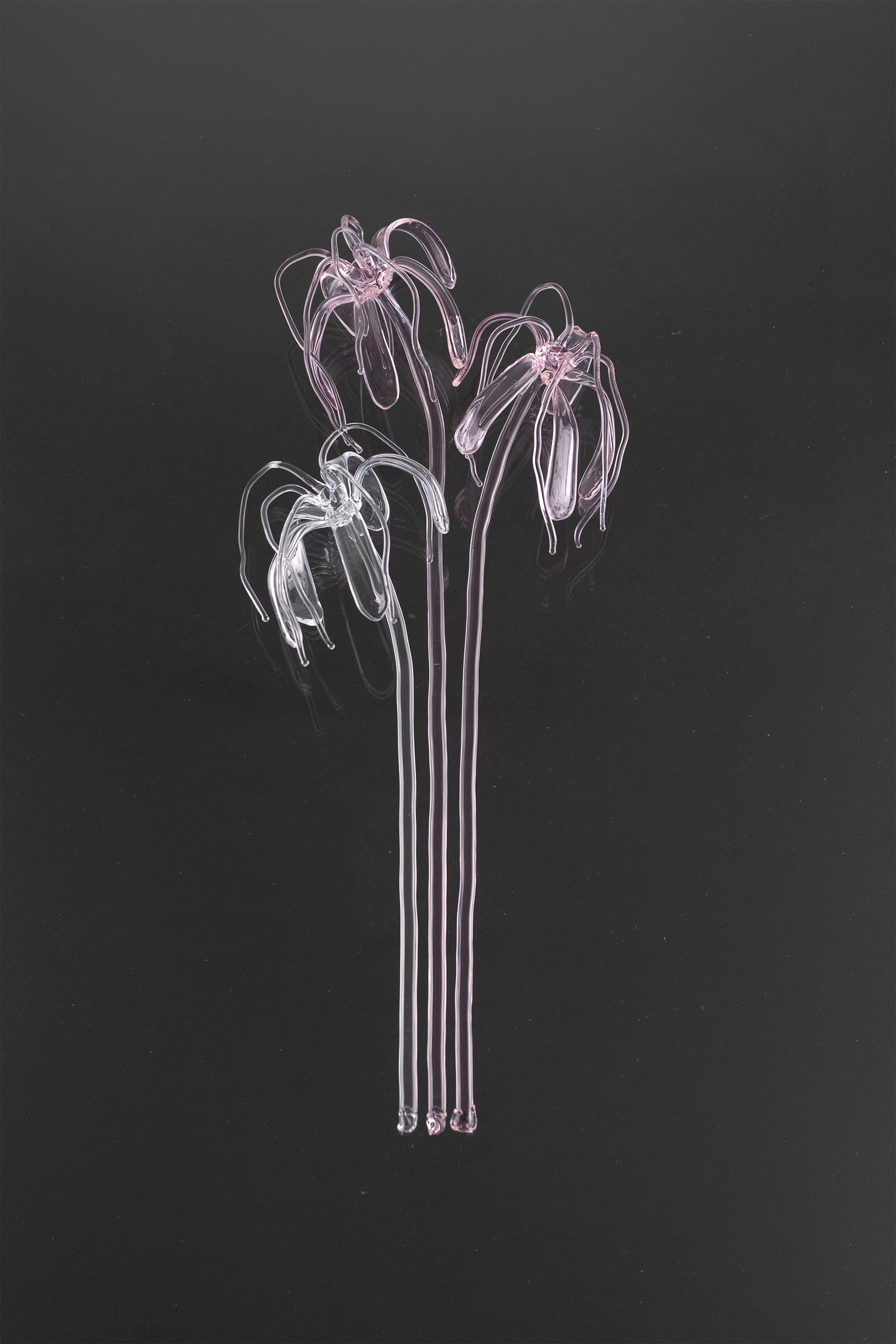 Glass Flower 04